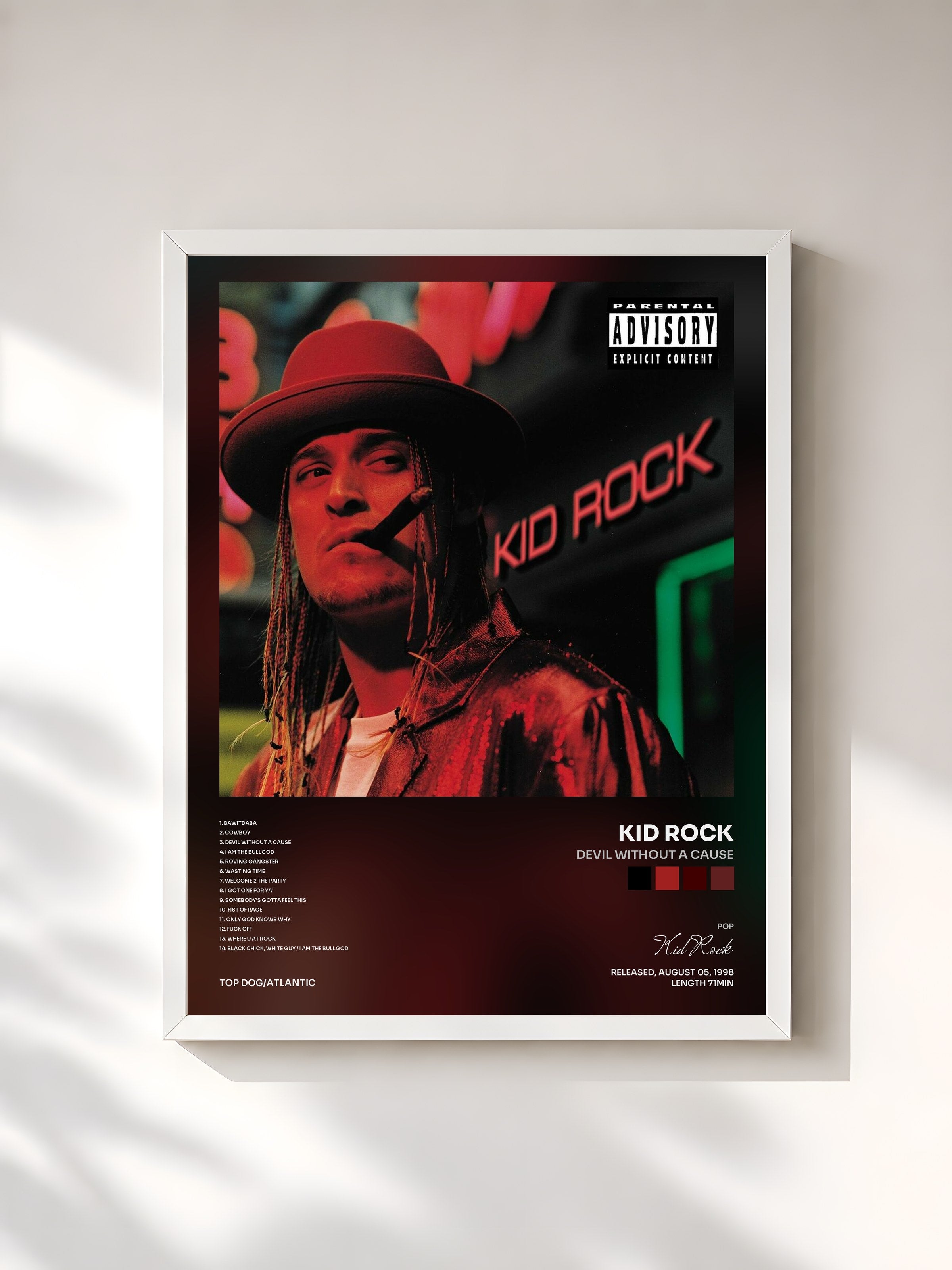 #blanc Tableau de l'album Devil Without a Cause de Kid Rock, cadre blanc, imprimé et encadré en France