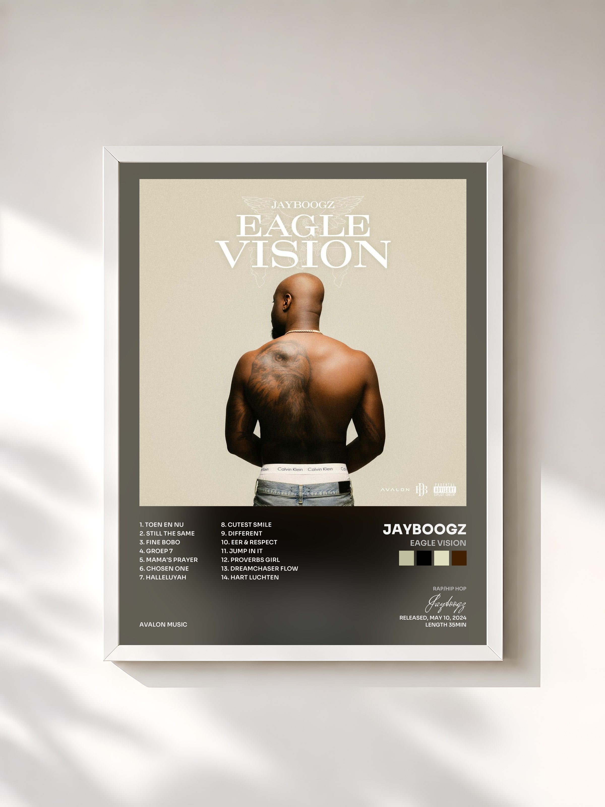 #blanc Tableau de l'album Eagle Vision de Jayboogz, cadre blanc, imprimé et encadré en France