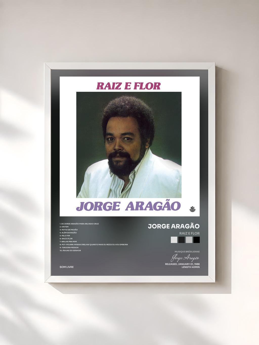 #blanc Tableau de l'album Raiz e Flor de Jorge Aragão, cadre blanc, imprimé et encadré en France