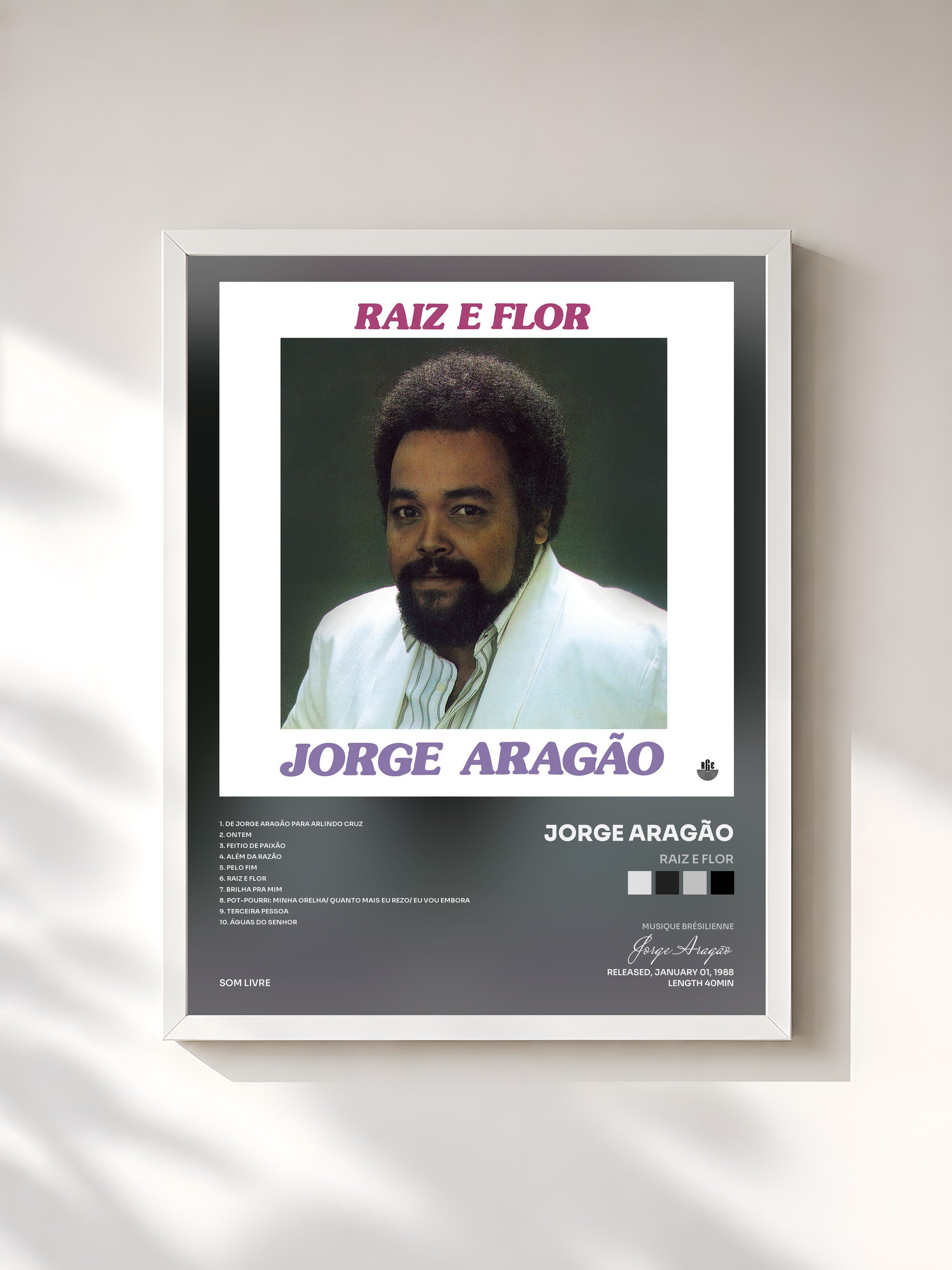 #blanc Tableau de l'album Raiz e Flor de Jorge Aragão, cadre blanc, imprimé et encadré en France