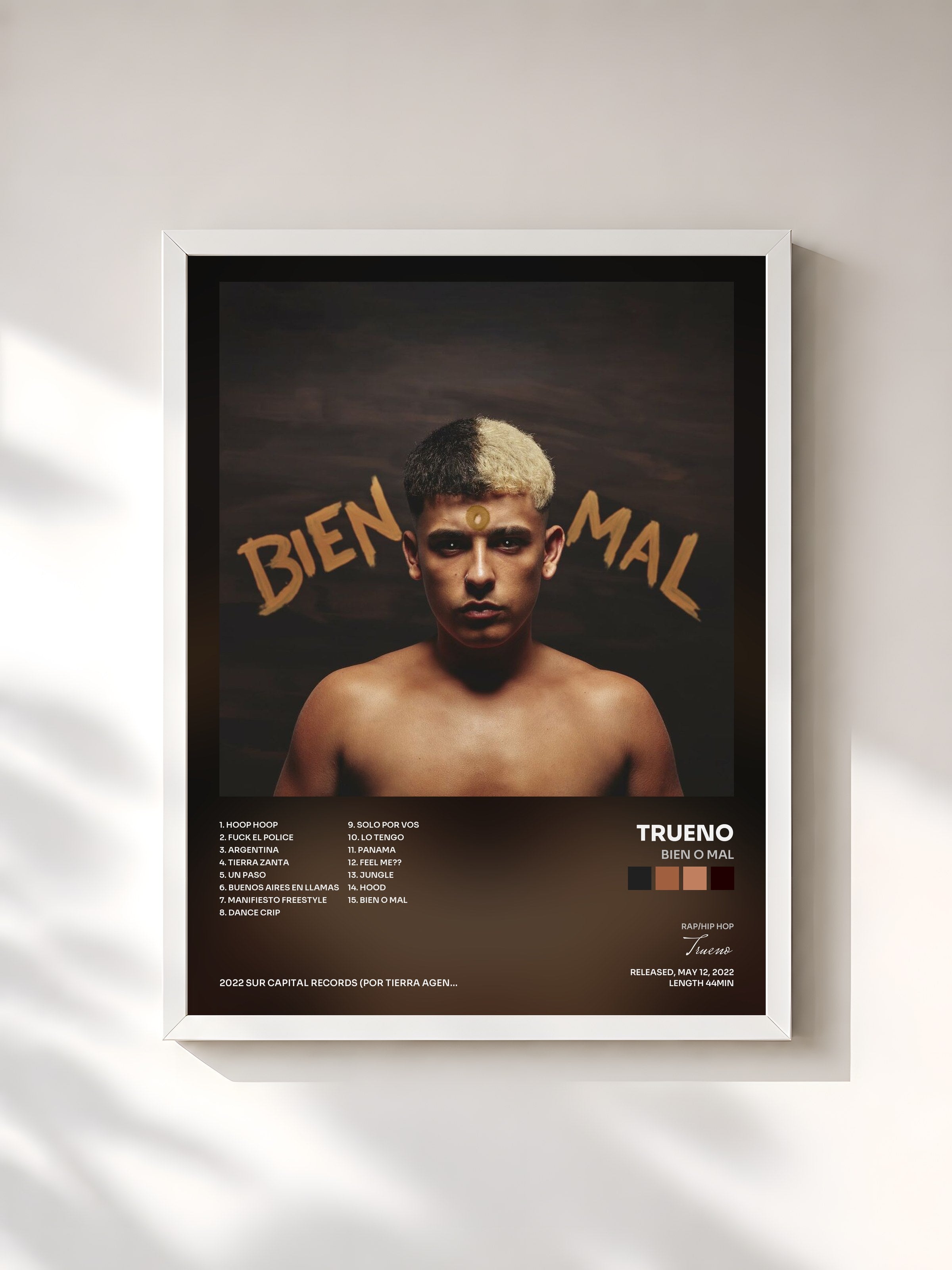 #blanc Tableau de l'album BIEN O MAL de Trueno, cadre blanc, imprimé et encadré en France