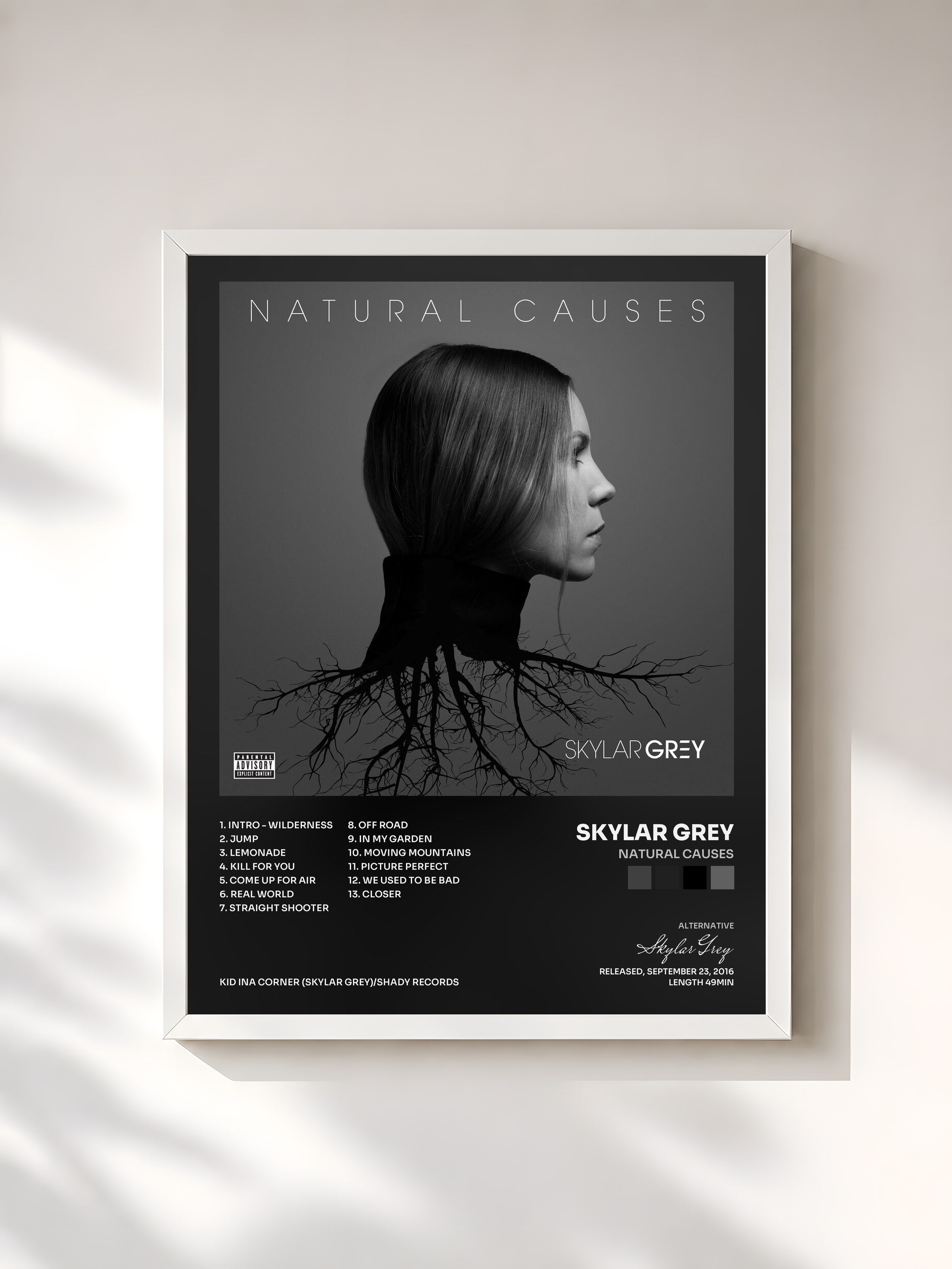 #blanc Tableau de l'album Natural Causes de Skylar Grey, cadre blanc, imprimé et encadré en France