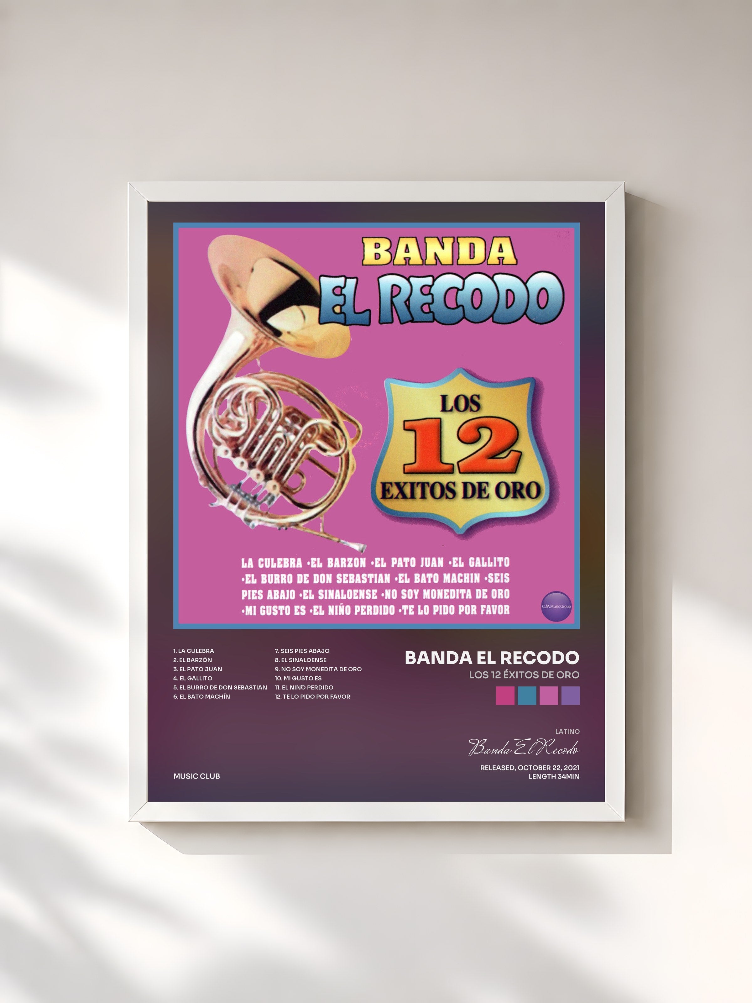#blanc Tableau de l'album Los 12 Éxitos de Oro de Banda El Recodo, cadre blanc, imprimé et encadré en France