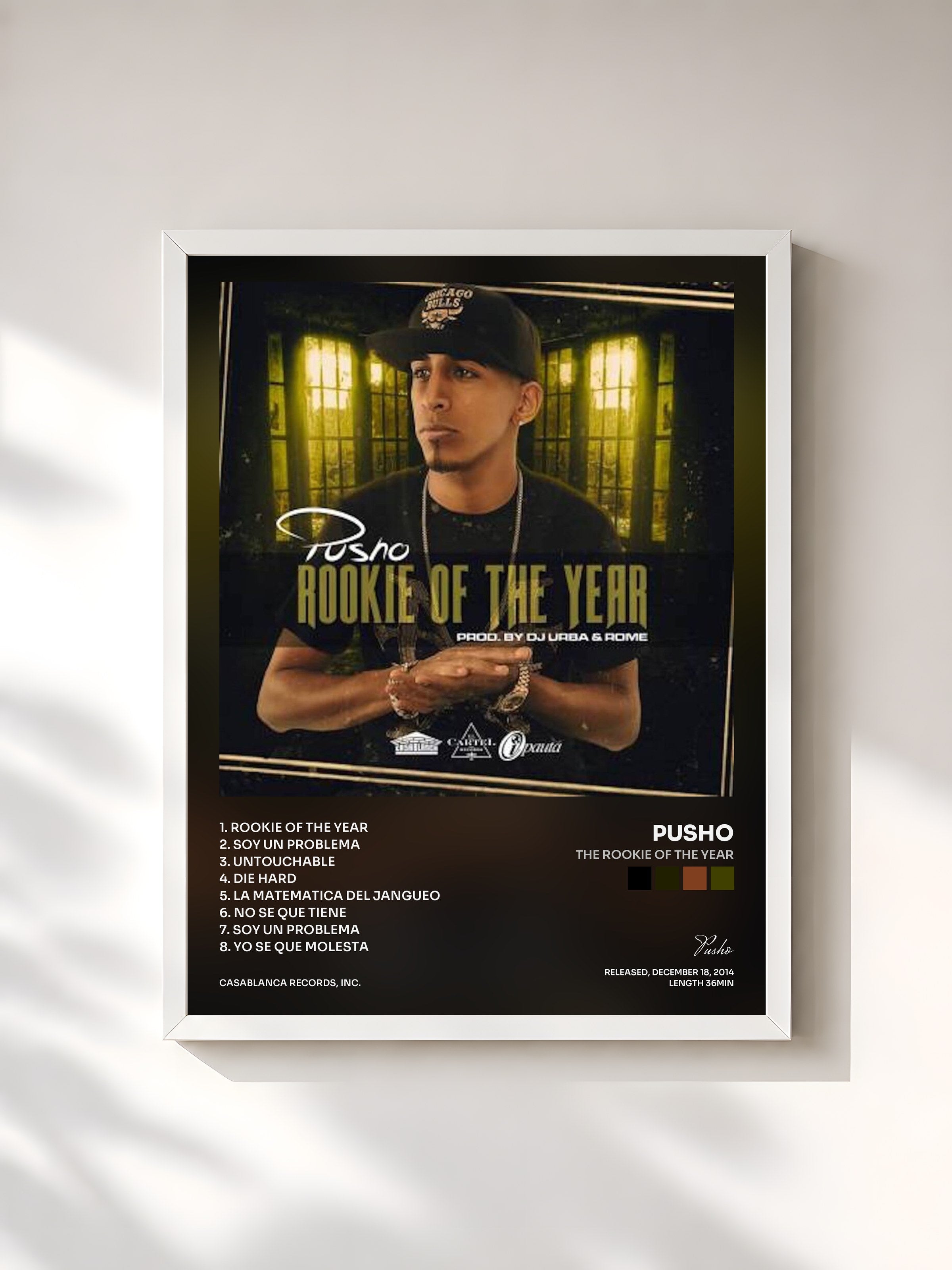 #blanc Tableau de l'album The Rookie of the Year de Pusho, cadre blanc, imprimé et encadré en France