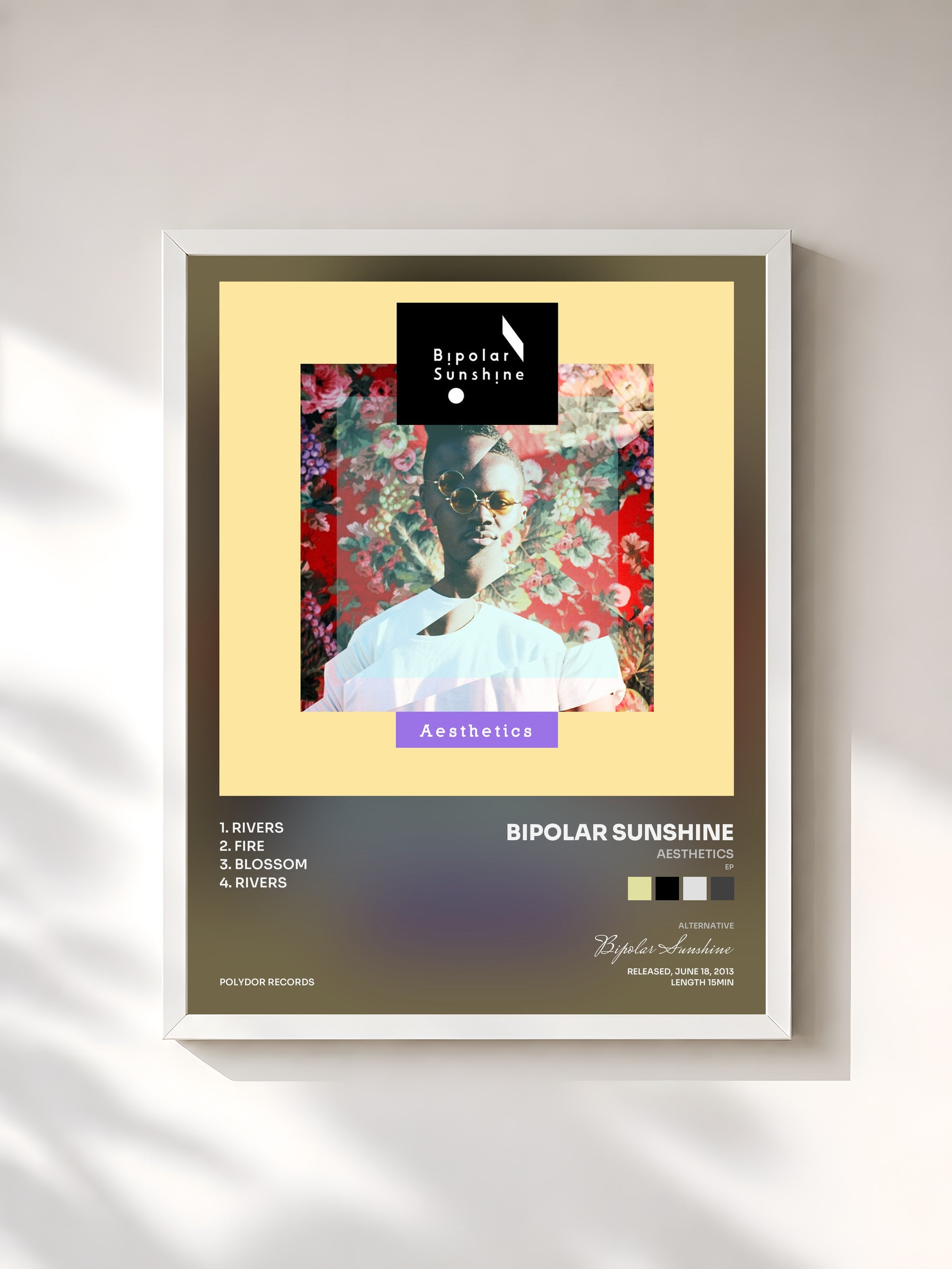 #blanc Tableau de l'album Aesthetics (EP) de Bipolar Sunshine, cadre blanc, imprimé et encadré en France