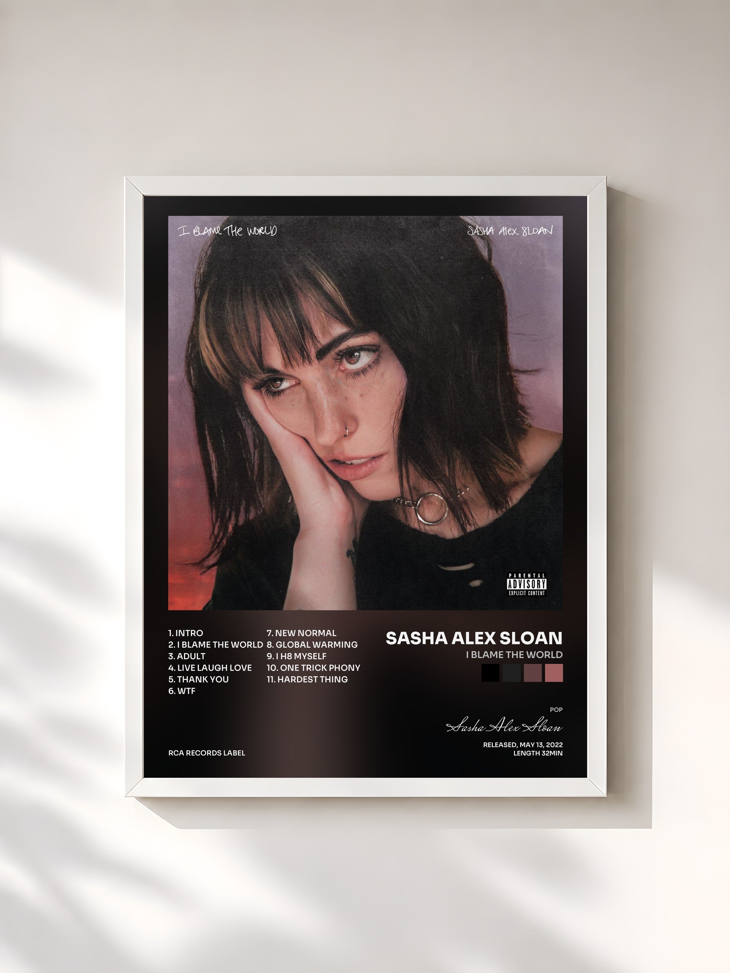 #blanc Tableau de l'album I Blame The World de Sasha Alex Sloan, cadre blanc, imprimé et encadré en France