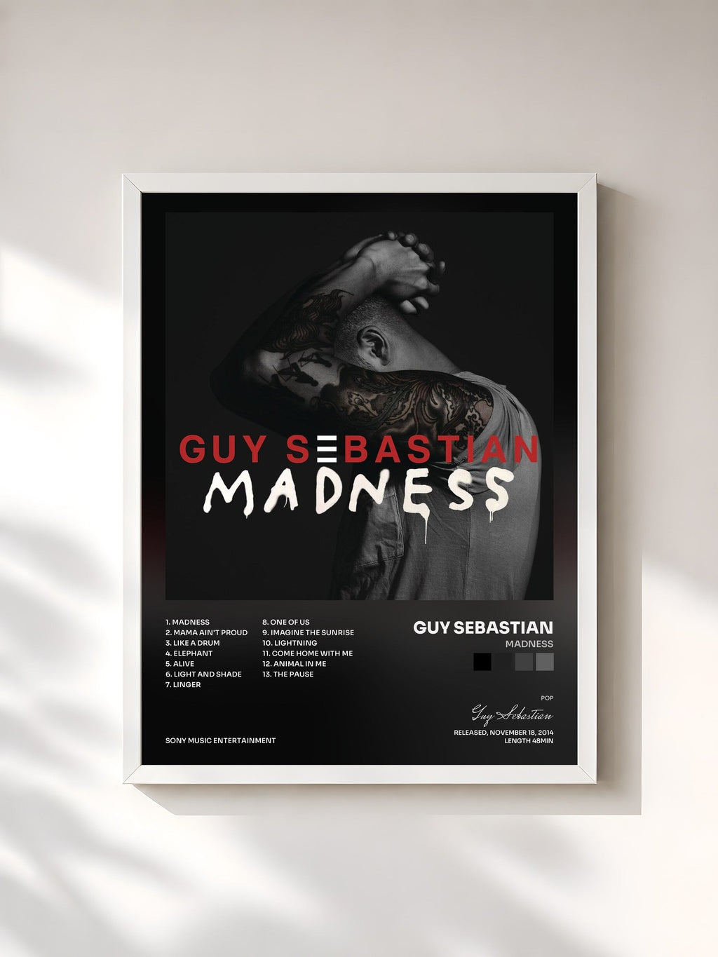 #blanc Tableau de l'album Madness de Guy Sebastian, cadre blanc, imprimé et encadré en France