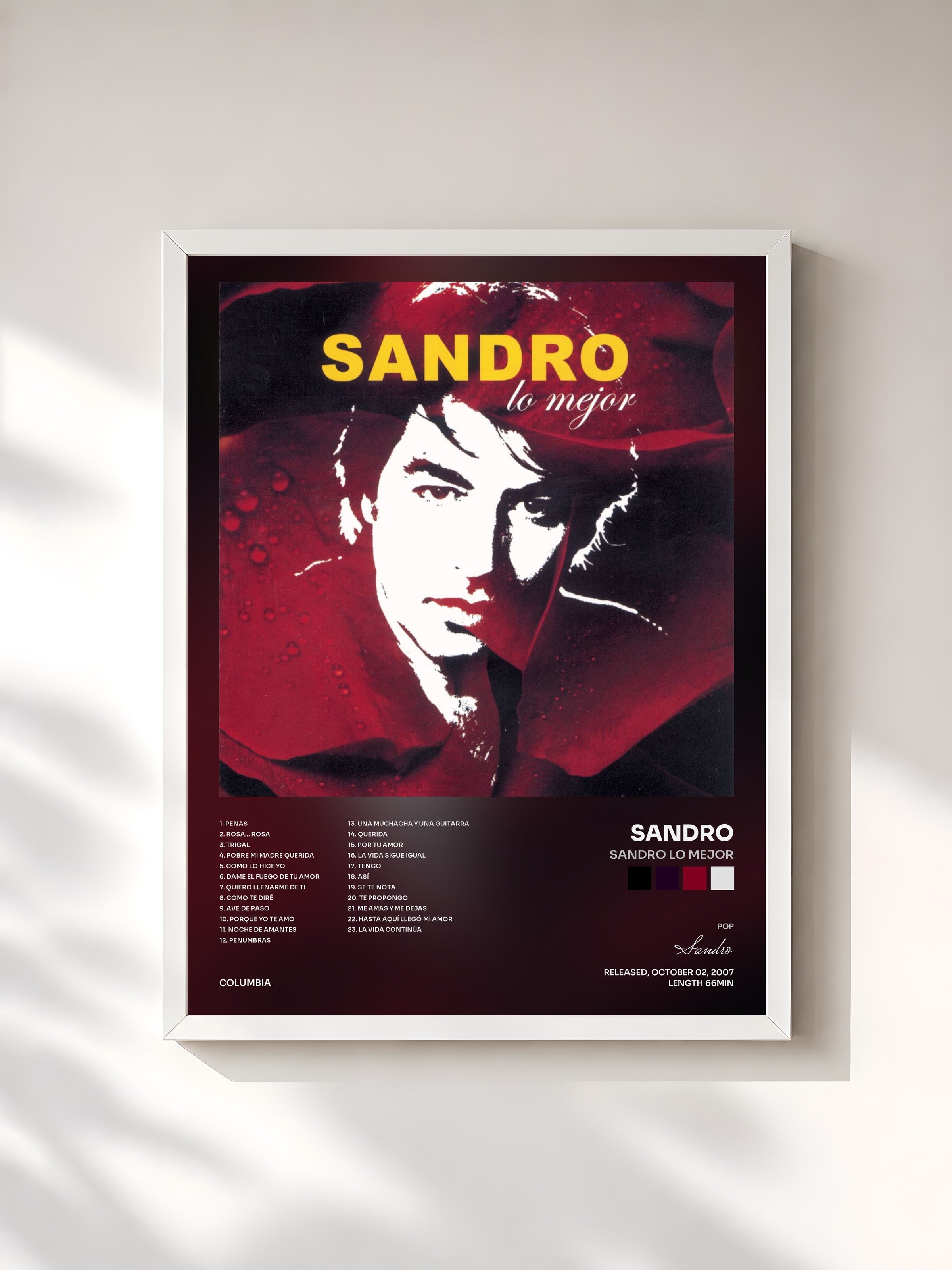 #blanc Tableau de l'album Sandro Lo Mejor de Sandro, cadre blanc, imprimé et encadré en France