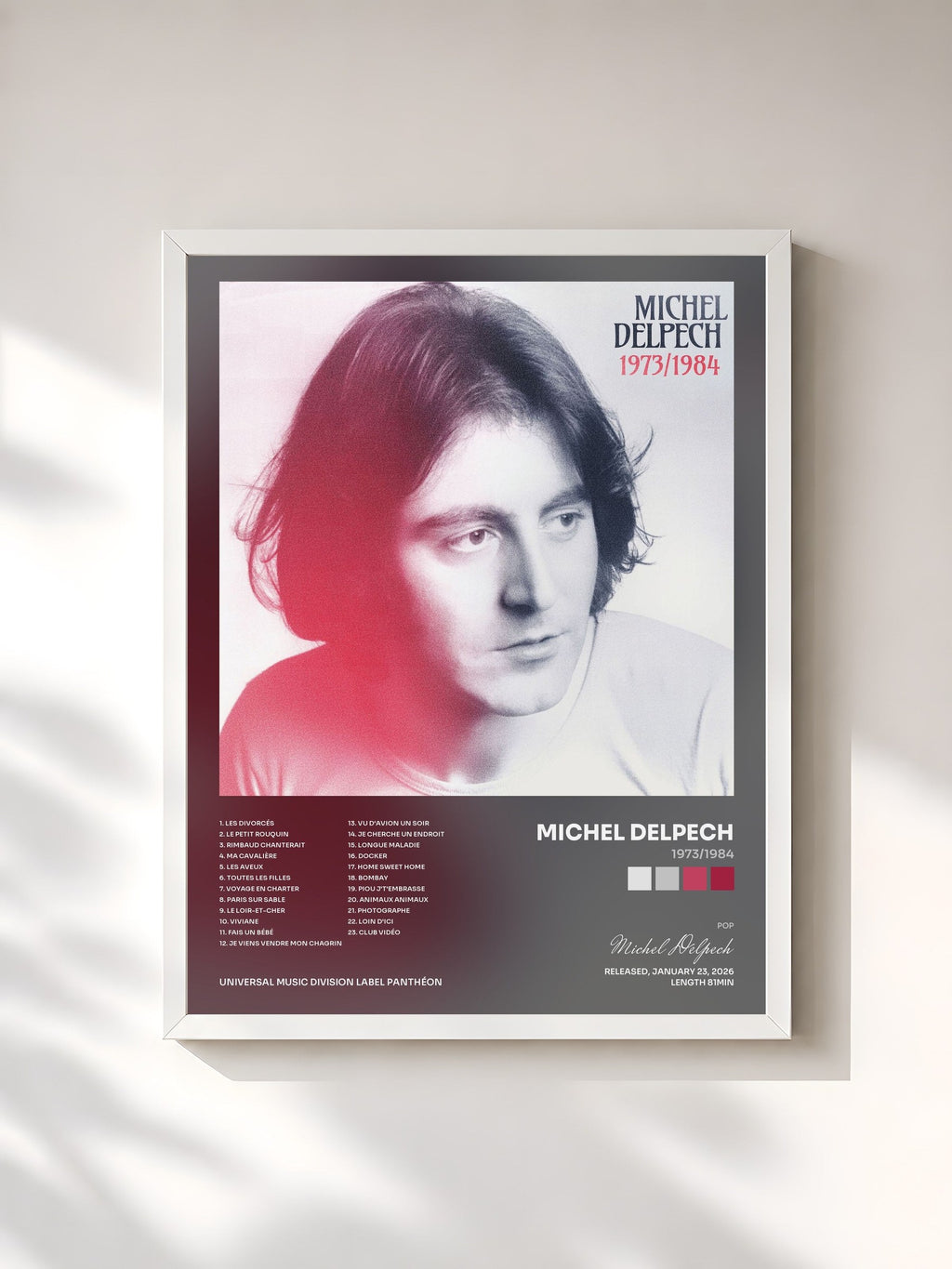 #blanc Tableau de l'album 1973/1984 de Michel Delpech, cadre blanc, imprimé et encadré en France