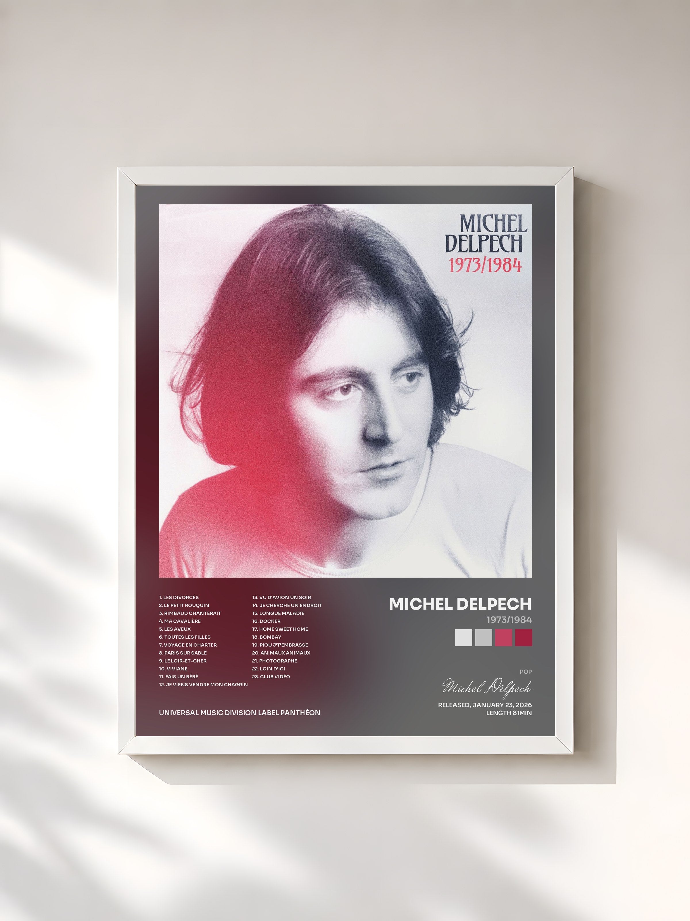 #blanc Tableau de l'album 1973/1984 de Michel Delpech, cadre blanc, imprimé et encadré en France