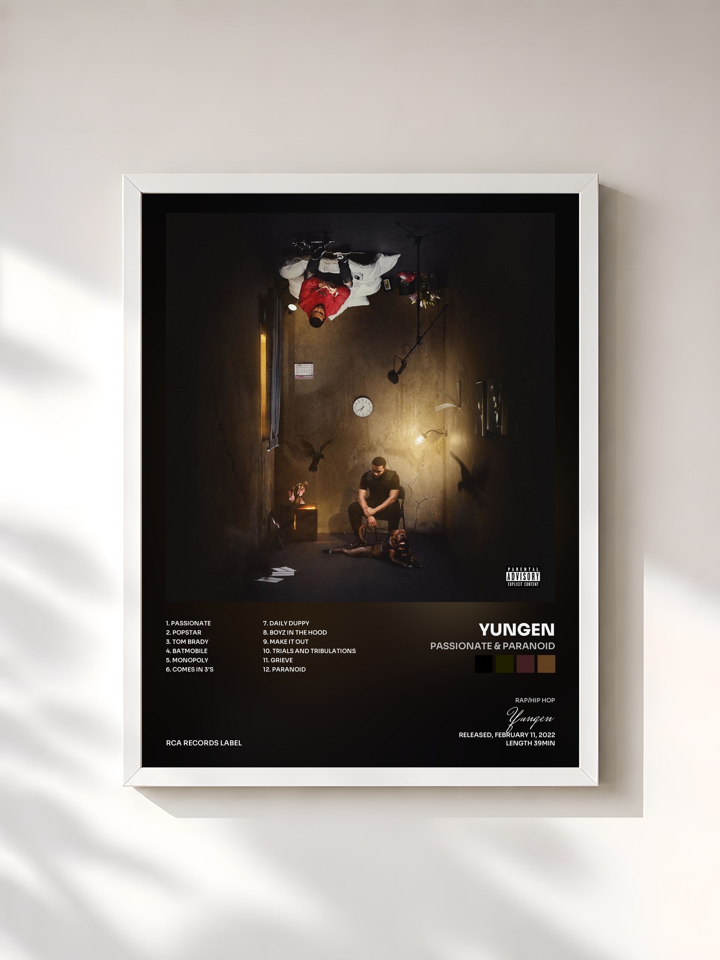 #blanc Tableau de l'album Passionate & Paranoid de Yungen, cadre blanc, imprimé et encadré en France