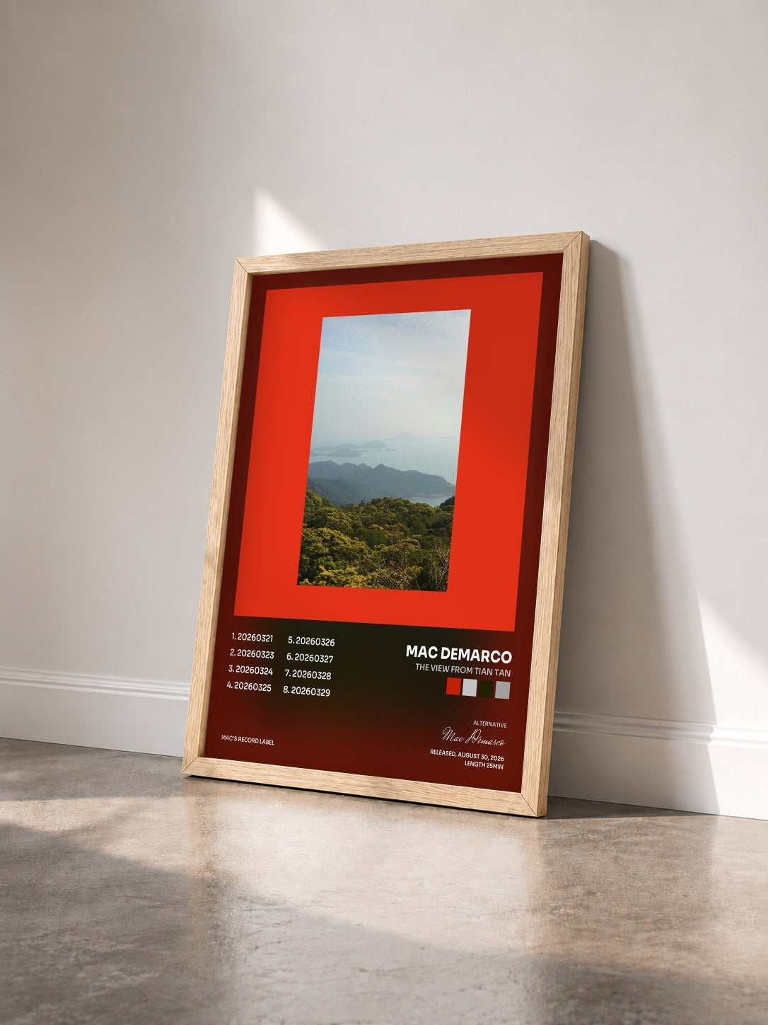 #bois Tableau de l'album The View From Tian Tan de Mac Demarco vu de trois quarts, cadre en bois brut