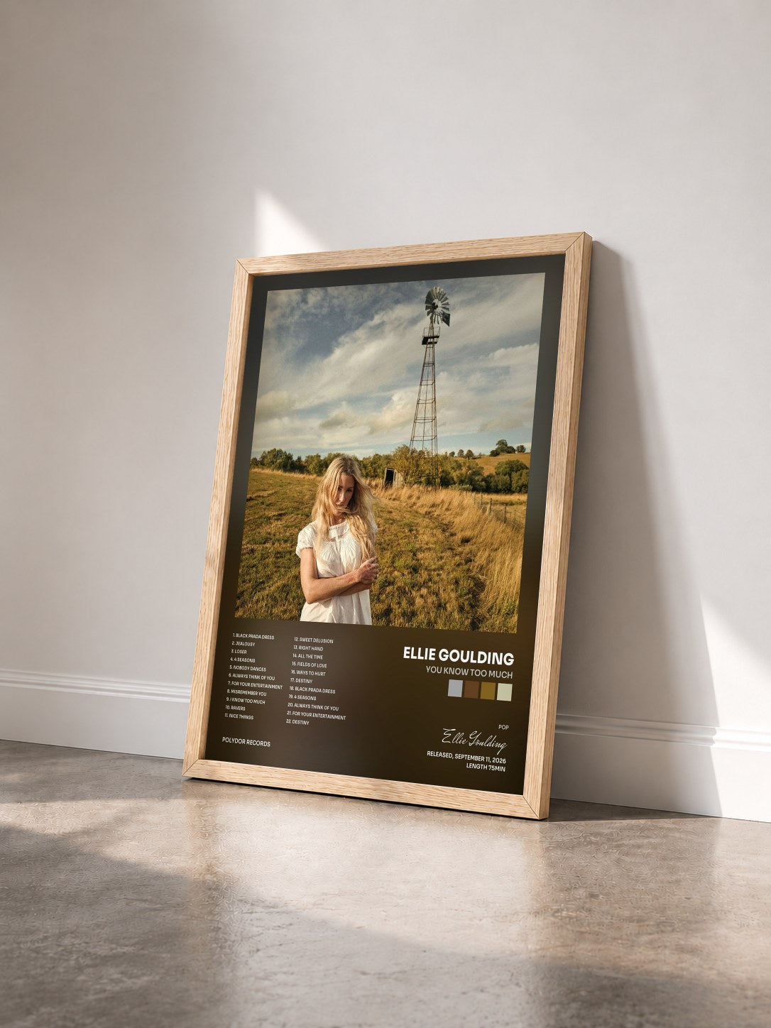 #bois Tableau de l'album You Know Too Much de Ellie Goulding vu de trois quarts, cadre en bois brut