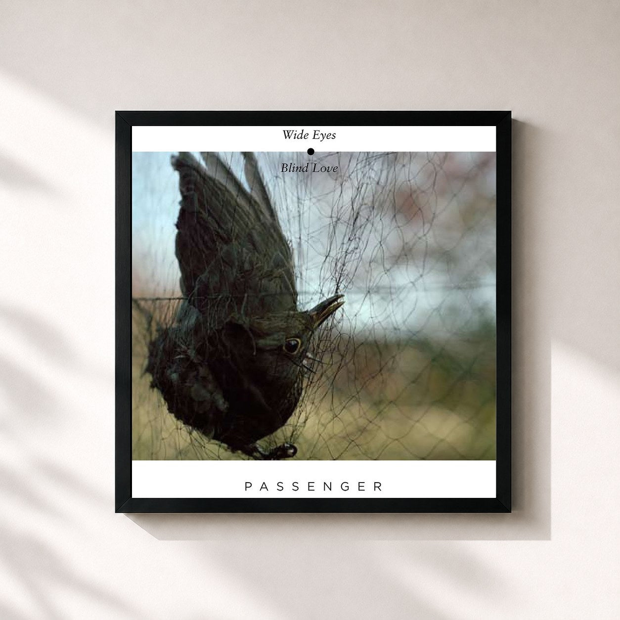 #noir Tableau carré de l'album Wide Eyes Blind Love de Passenger, cadre noir 32x32 cm