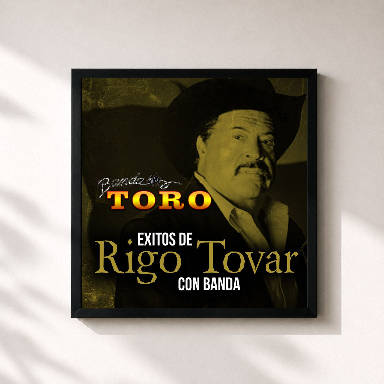 #noir Tableau carré de l'album Exitos de Rigo Tovar Con Banda de Banda Toro, cadre noir 32x32 cm