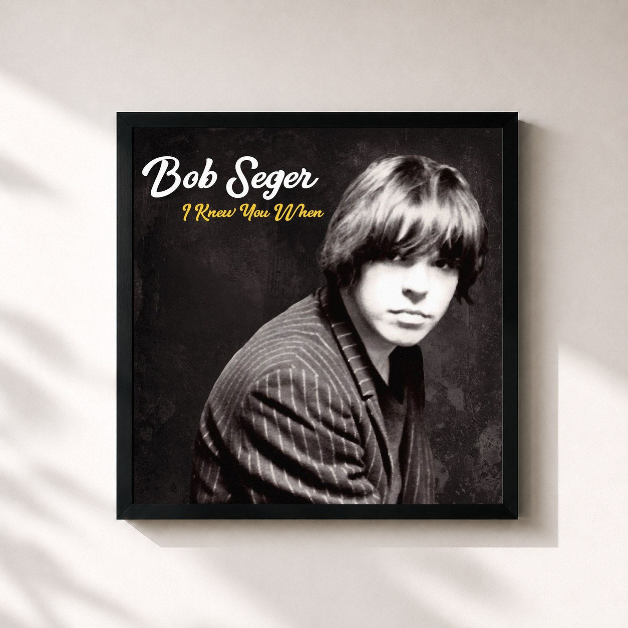 Bob Seger · I Knew You When (Deluxe)