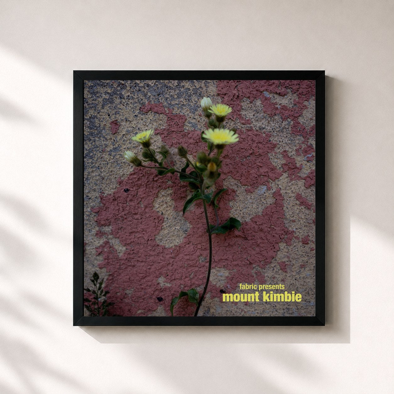 #noir Tableau carré de l'album fabric presents Mount Kimbie (Mixed) de Mount Kimbie, cadre noir 32x32 cm