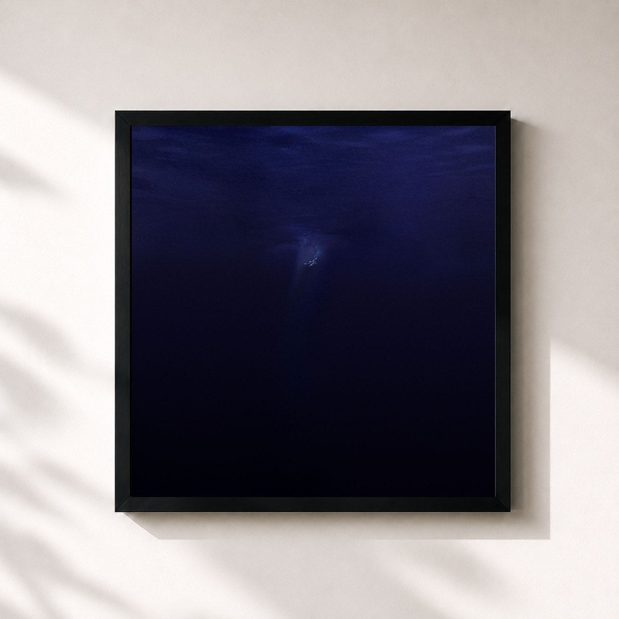 #noir Tableau carré de l'album Salt & Silence de Said The Sky, cadre noir 32x32 cm