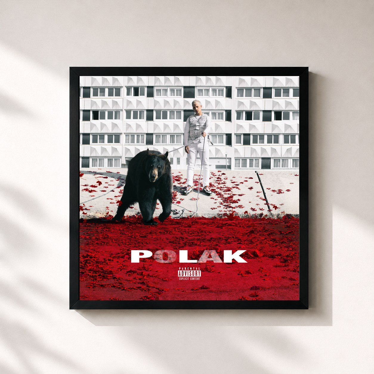 PLK · Polak