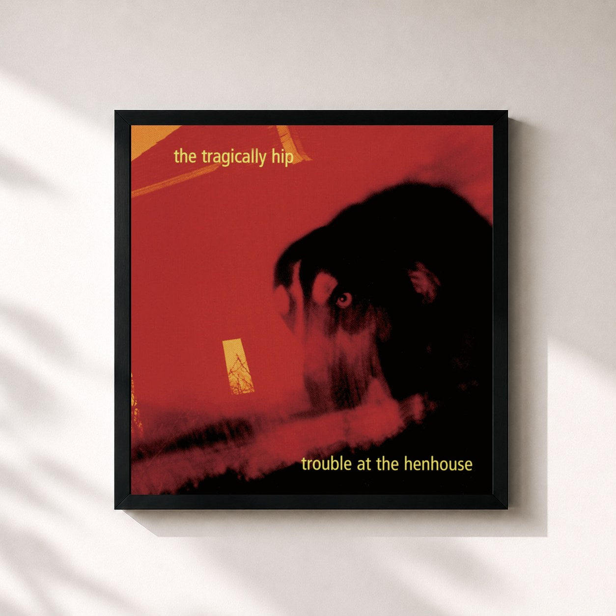 #noir Tableau carré de l'album Trouble At The Henhouse de The Tragically Hip, cadre noir 32x32 cm