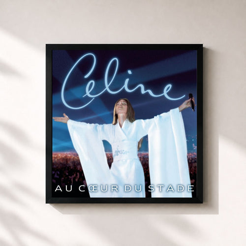 Céline Dion · Au Coeur Du Stade (Live)