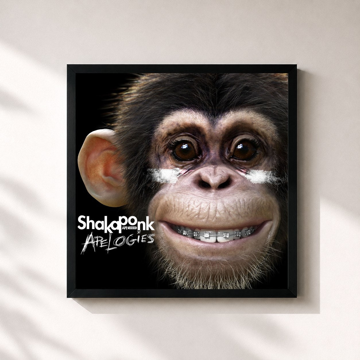 Shaka Ponk · Apelogies