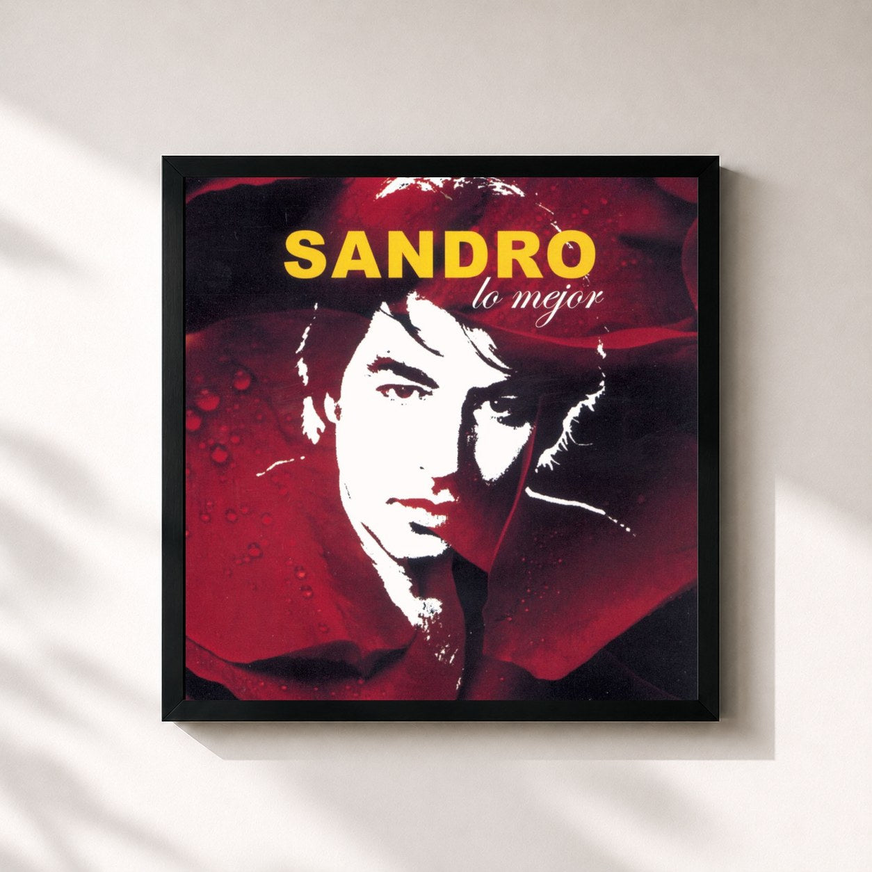 #noir Tableau carré de l'album Sandro Lo Mejor de Sandro, cadre noir 32x32 cm