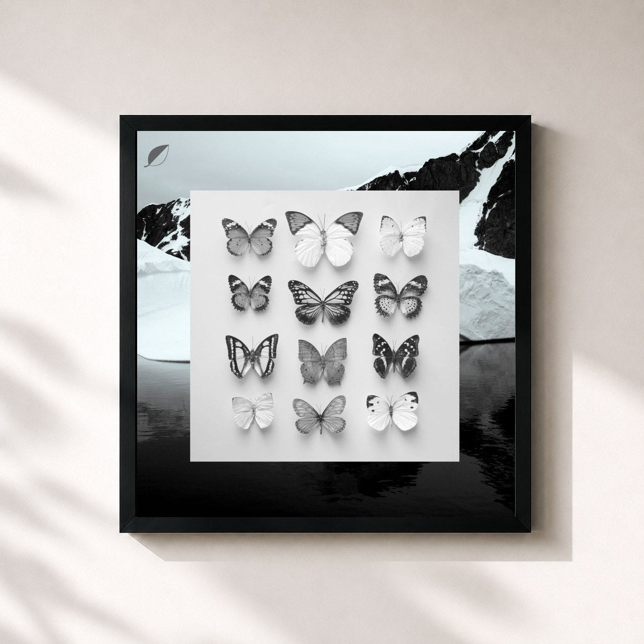 #noir Tableau carré de l'album Young Alaska de Christian Löffler, cadre noir 32x32 cm