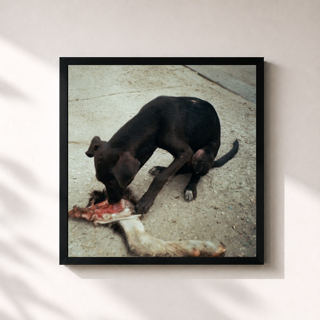 #noir Tableau carré de l'album RUNT de slowthai, cadre noir 32x32 cm