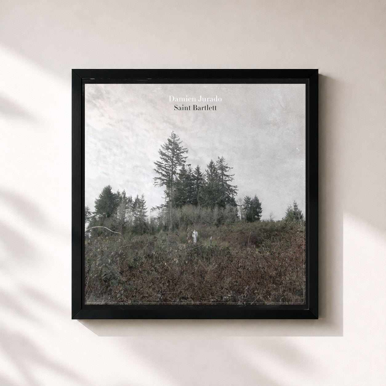#noir Tableau carré de l'album Saint Bartlett de Damien Jurado, cadre noir 32x32 cm