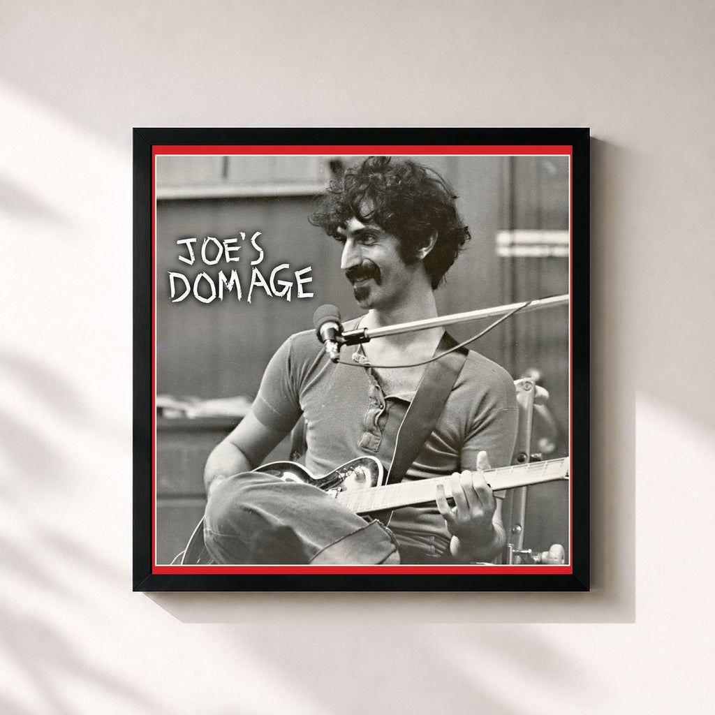 Frank Zappa · Joe's Domage