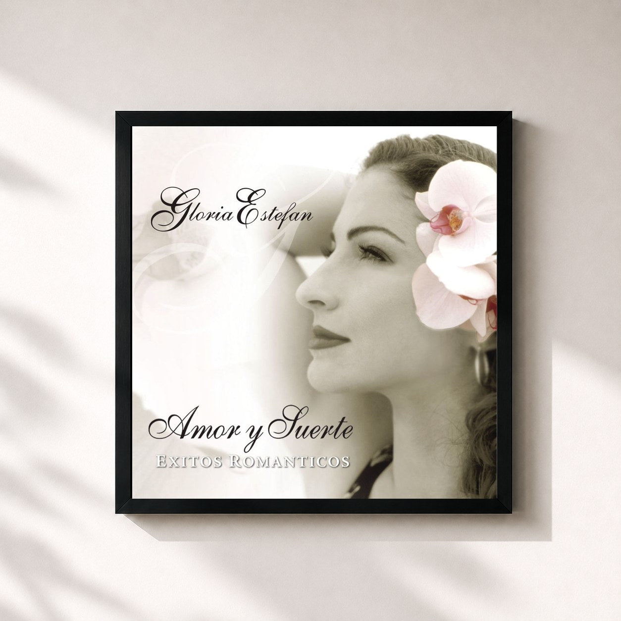 #noir Tableau carré de l'album Amor Y Suerte de Gloria Estefan, cadre noir 32x32 cm