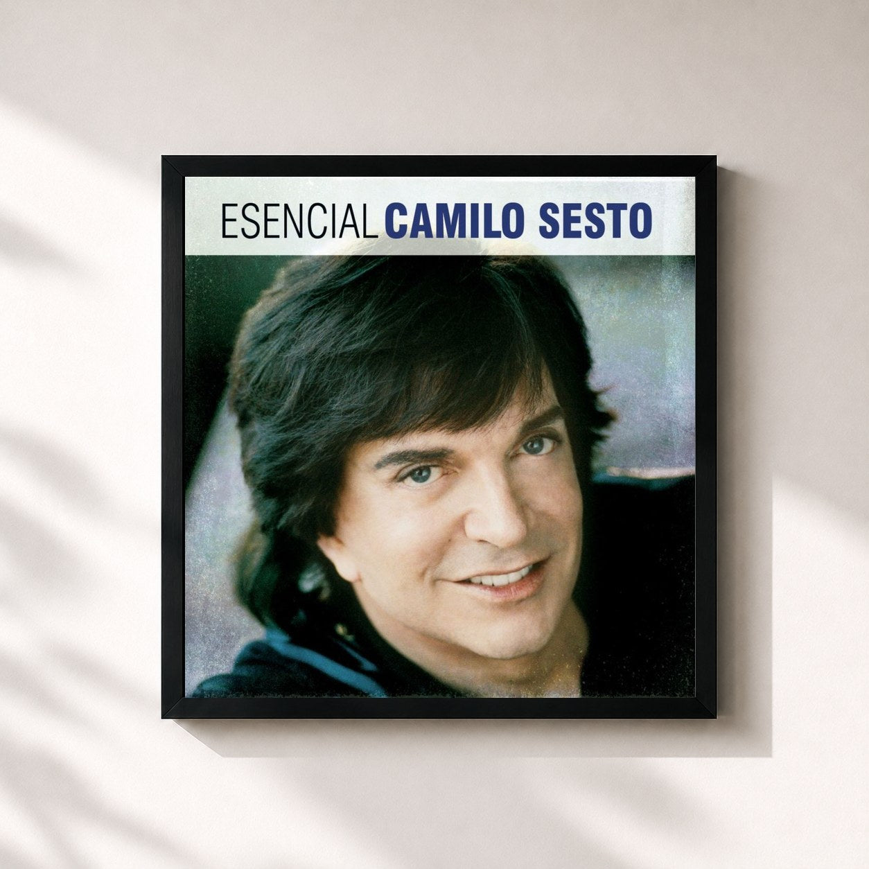 #noir Tableau carré de l'album Esencial Camilo Sesto de Camilo Sesto, cadre noir 32x32 cm