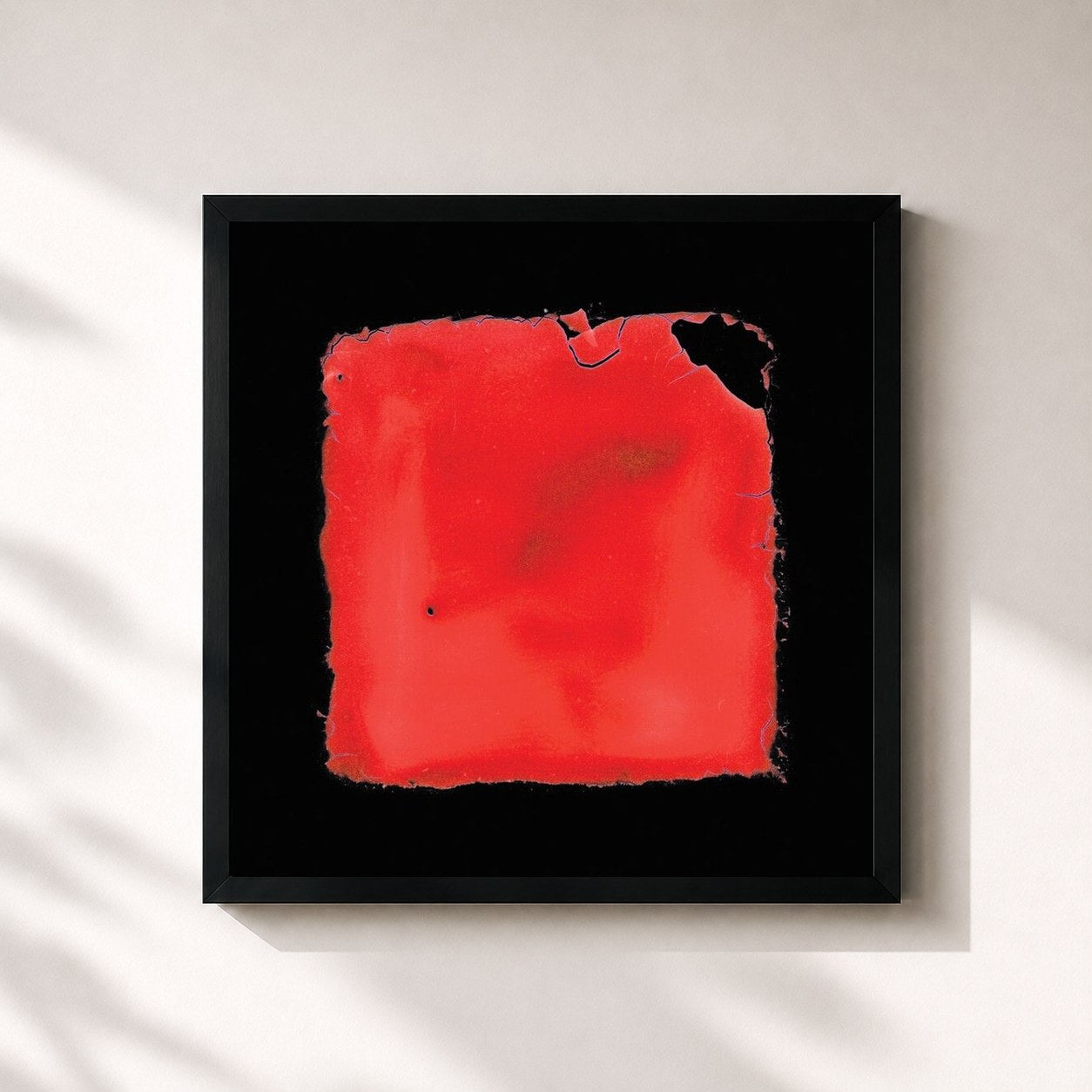 #noir Tableau carré de l'album last chance to see de salvia palth, cadre noir 32x32 cm