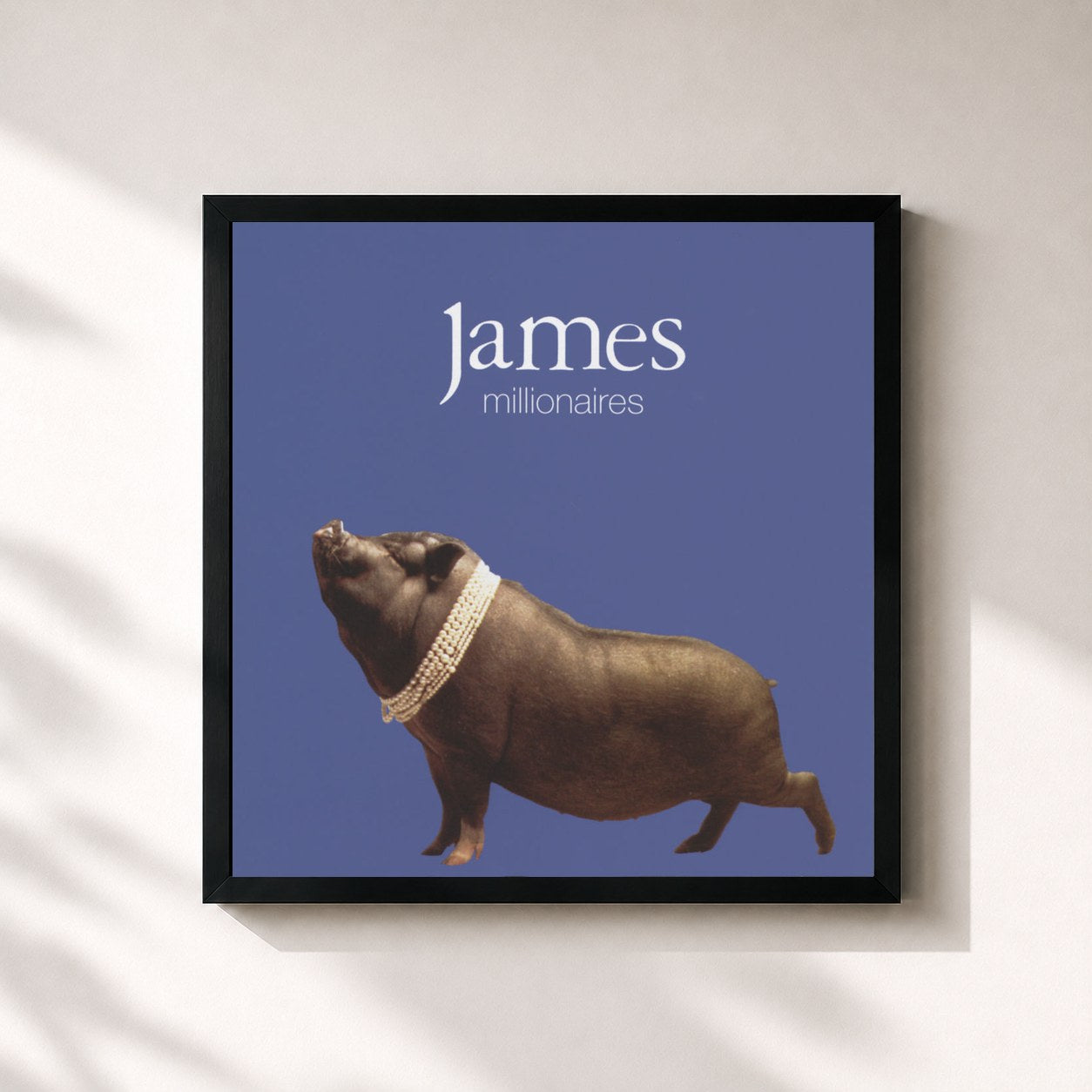 #noir Tableau carré de l'album Millionaires de James, cadre noir 32x32 cm