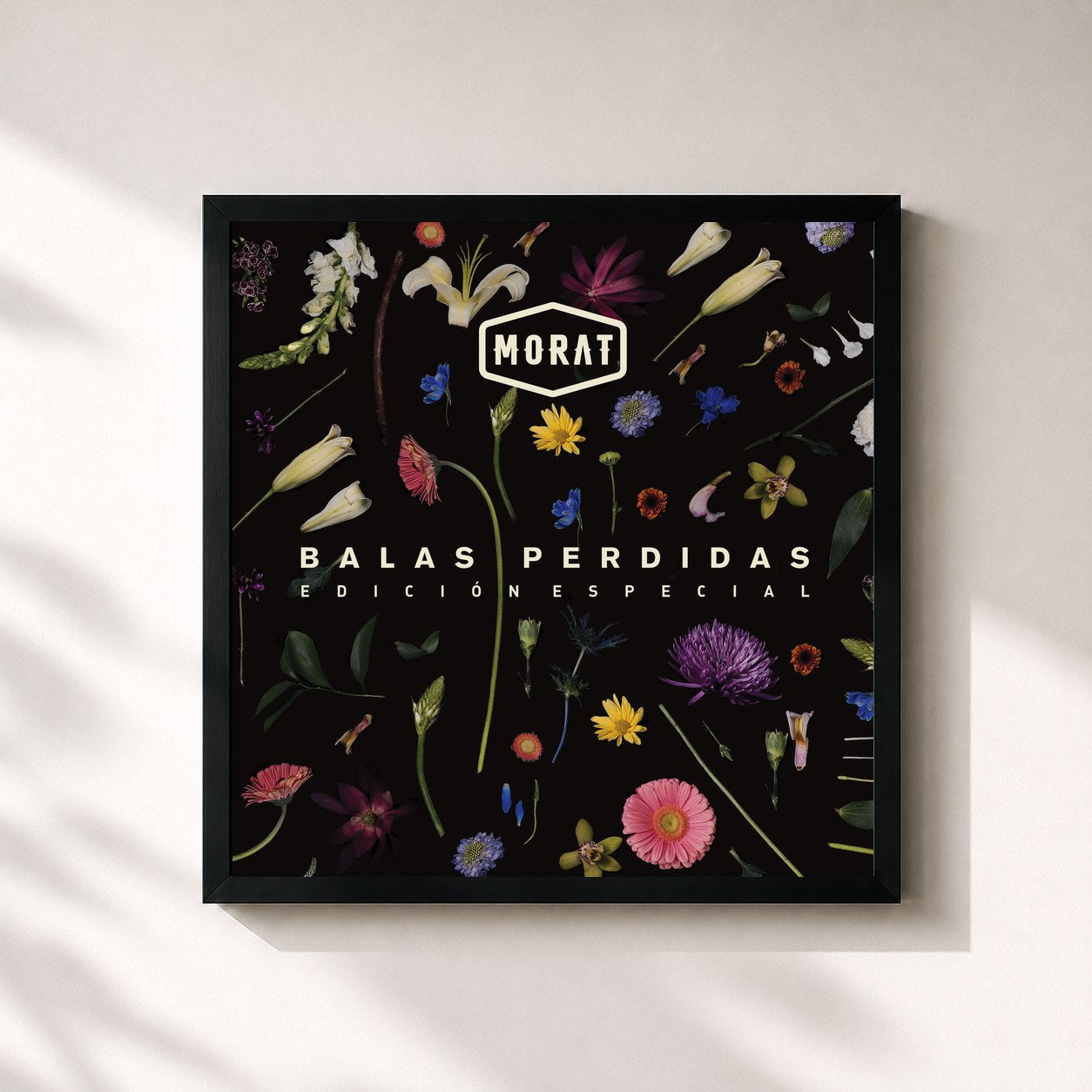 #noir Tableau carré de l'album Balas Perdidas (Edición Especial) de Morat, cadre noir 32x32 cm