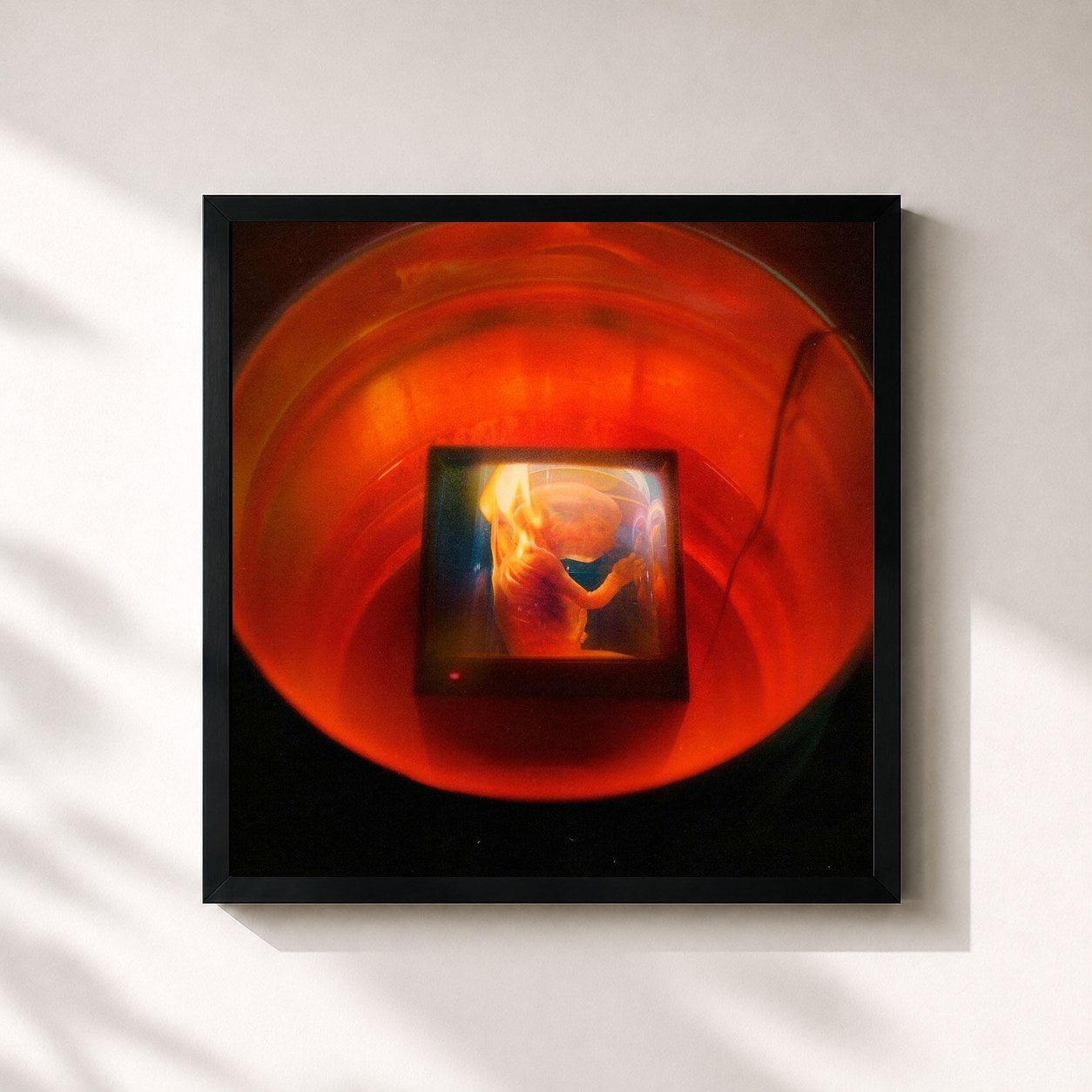 #noir Tableau carré de l'album HARAM! de GoldLink, cadre noir 32x32 cm
