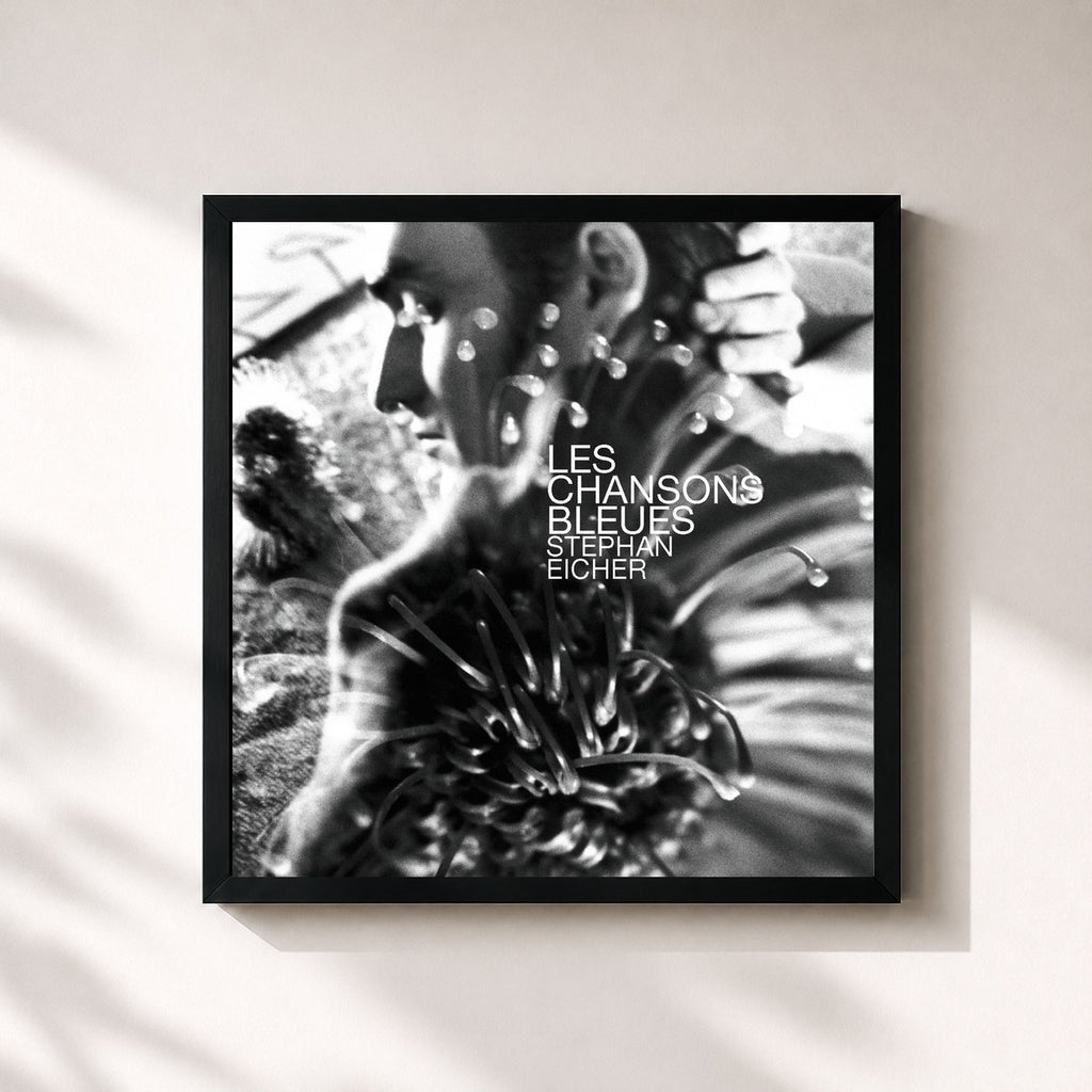 Stephan Eicher · Les Chansons Bleues