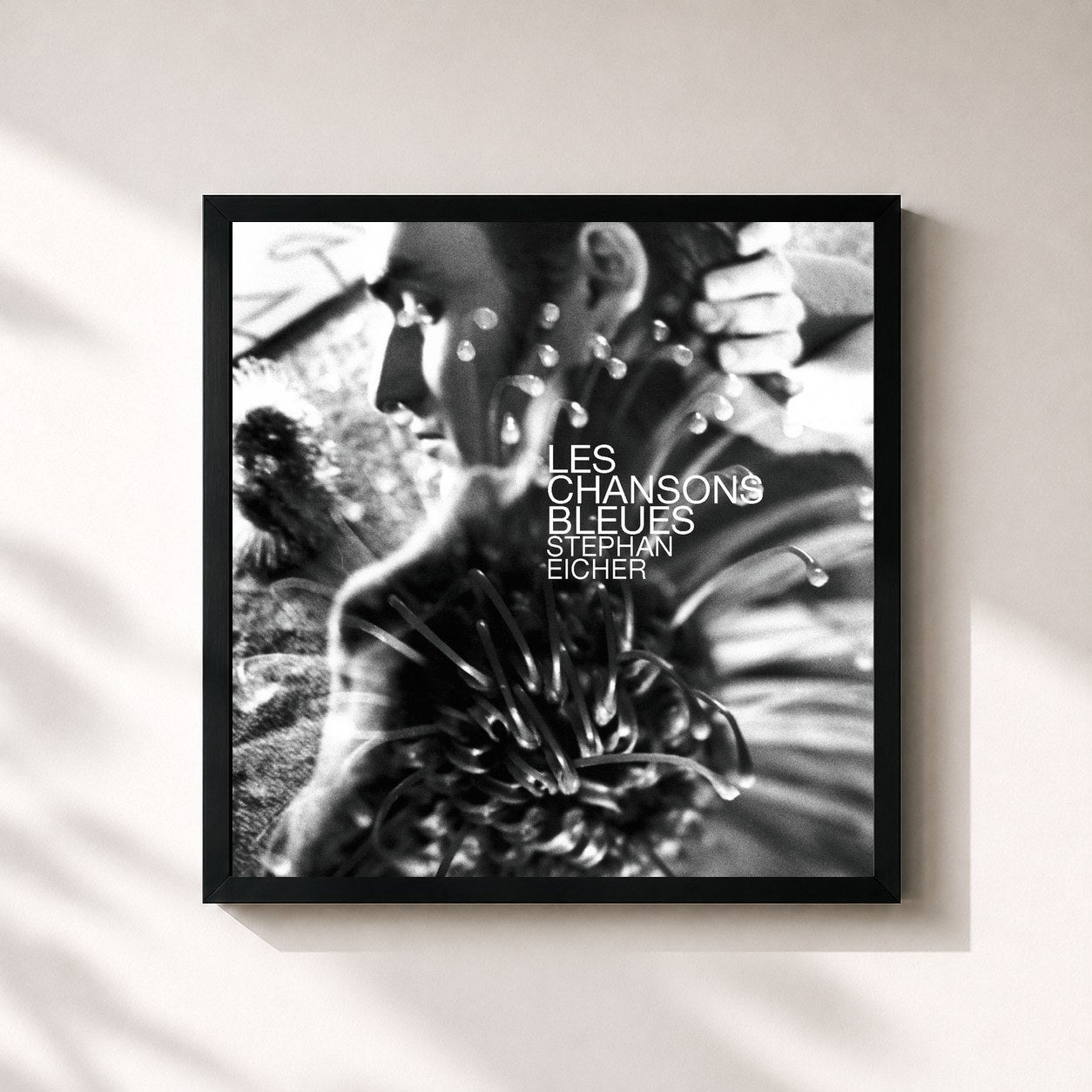 Stephan Eicher · Les Chansons Bleues