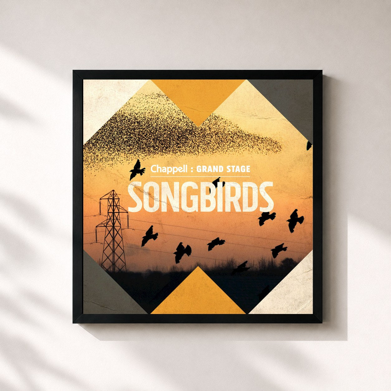 #noir Tableau carré de l'album Songbirds de Ben Cocks, cadre noir 32x32 cm