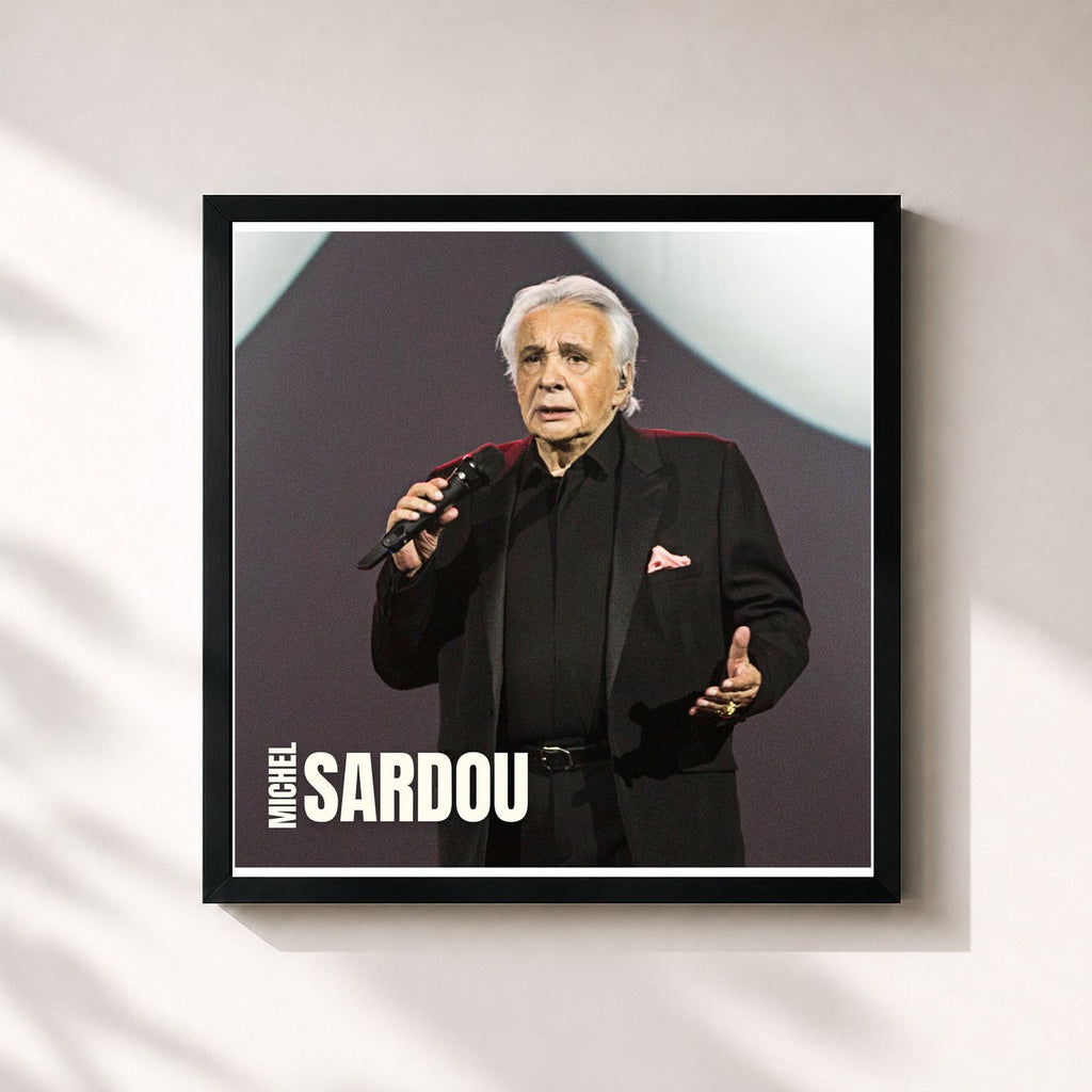 Michel Sardou · Les chansons du concert