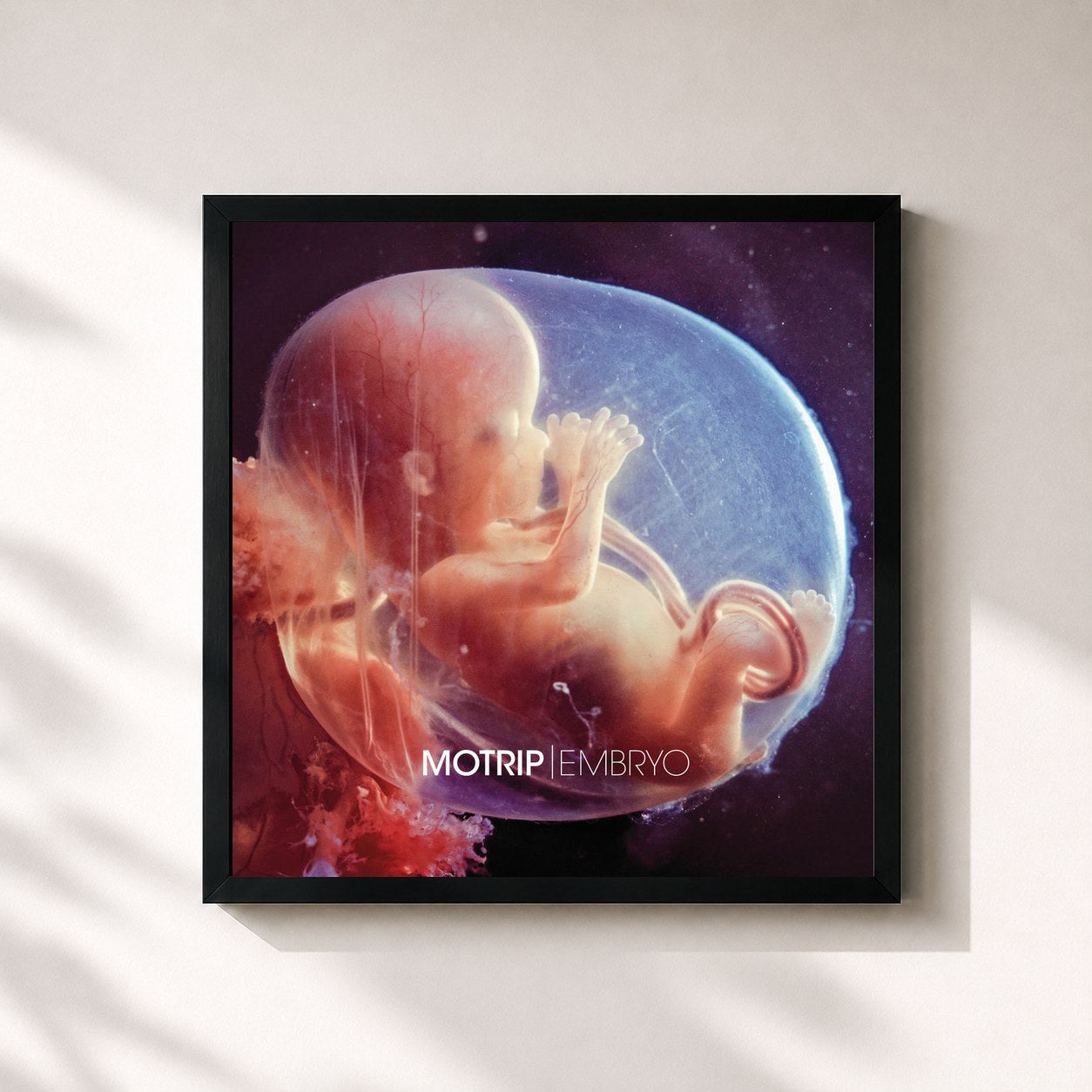 #noir Tableau carré de l'album Embryo de MoTrip, cadre noir 32x32 cm
