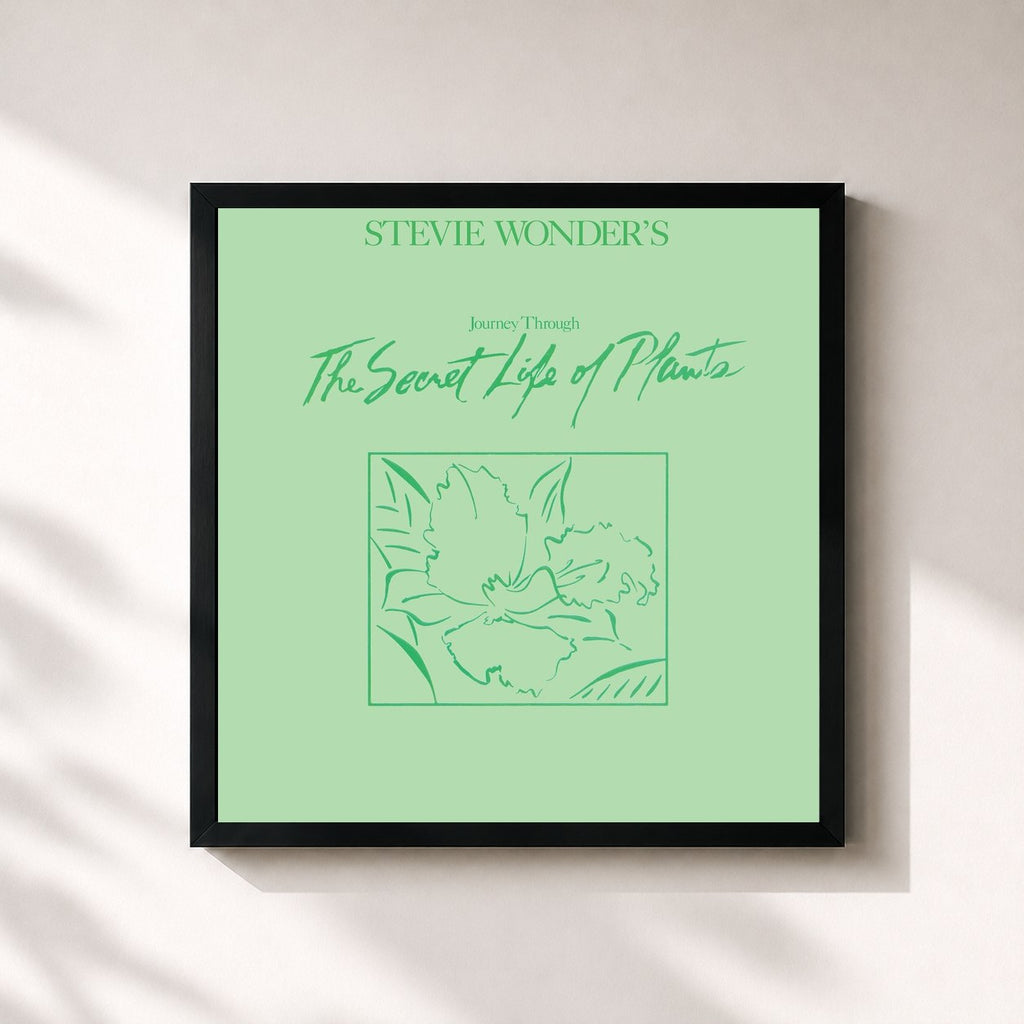 Stevie Wonder · Journey Through The Secret Life Of Plants