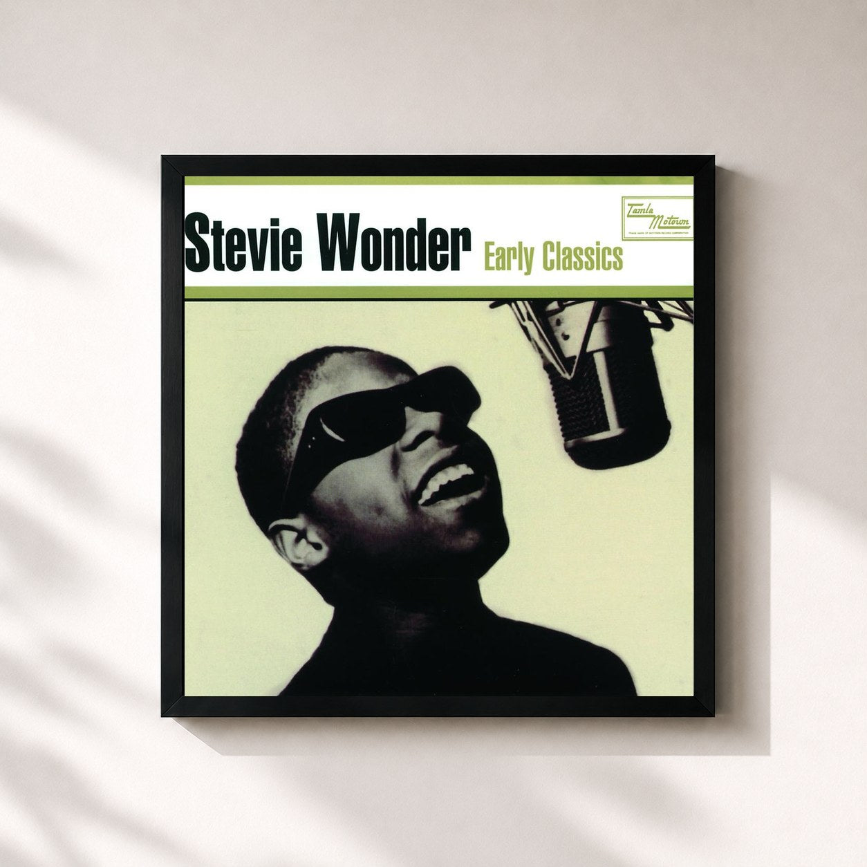 Stevie Wonder · Early Classics