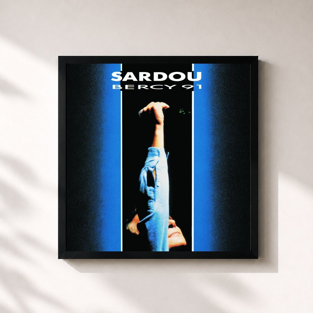 Michel Sardou · Bercy 91