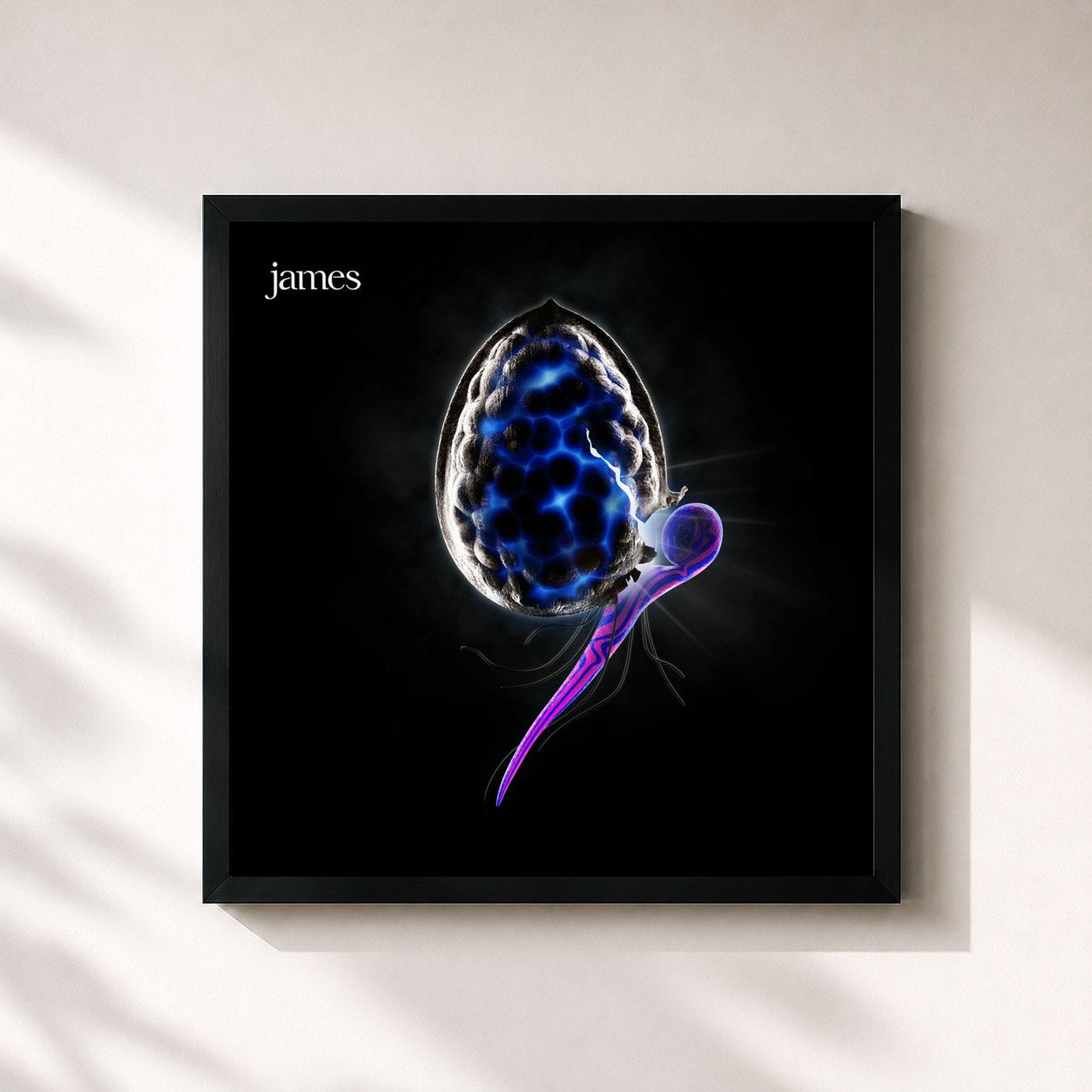 #noir Tableau carré de l'album The Night Before de James, cadre noir 32x32 cm