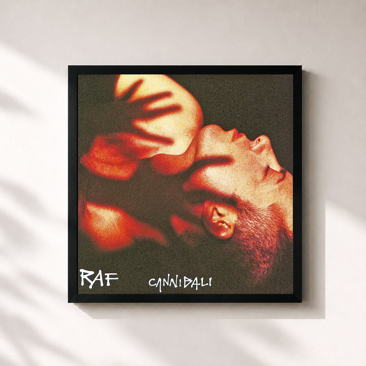 #noir Tableau carré de l'album Cannibali de Raf, cadre noir 32x32 cm