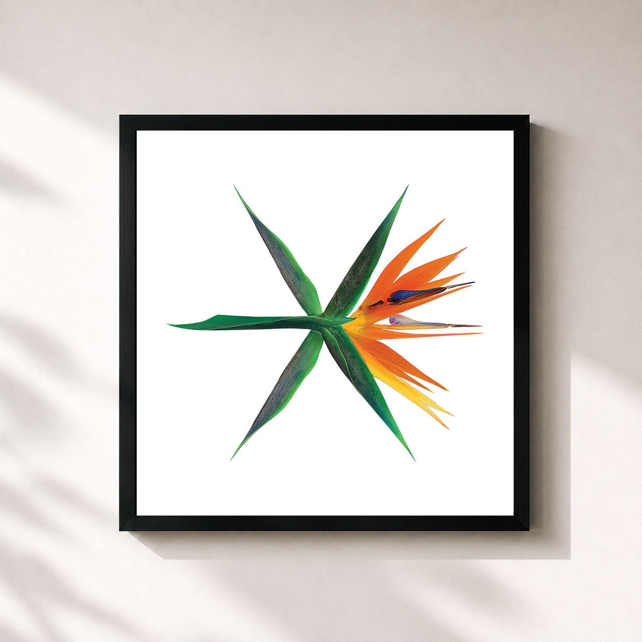 #noir Tableau carré de l'album THE WAR - The 4th Album de EXO, cadre noir 32x32 cm