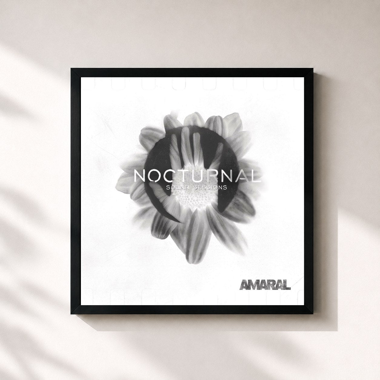#noir Tableau carré de l'album Nocturnal Solar Sessions de Amaral, cadre noir 32x32 cm