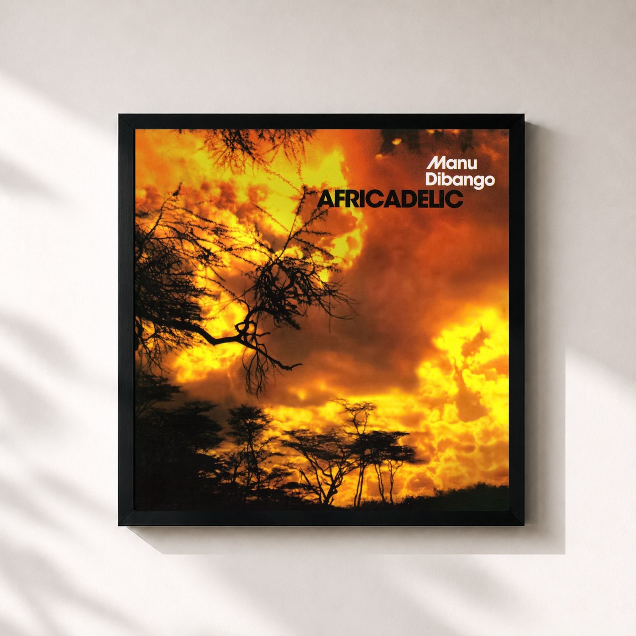 #noir Tableau carré de l'album Africadelic de Manu Dibango, cadre noir 32x32 cm